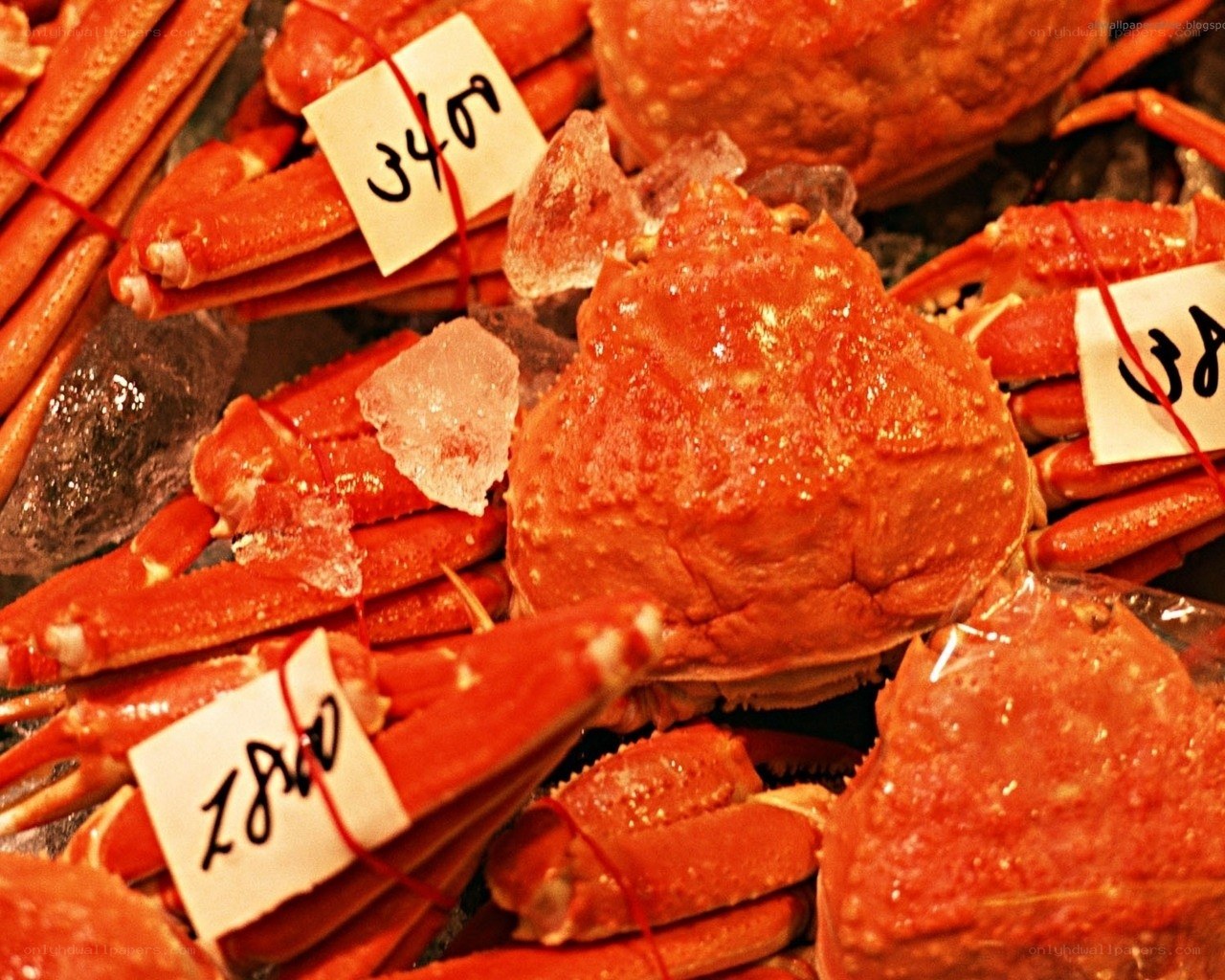 Fresh crab legs on display