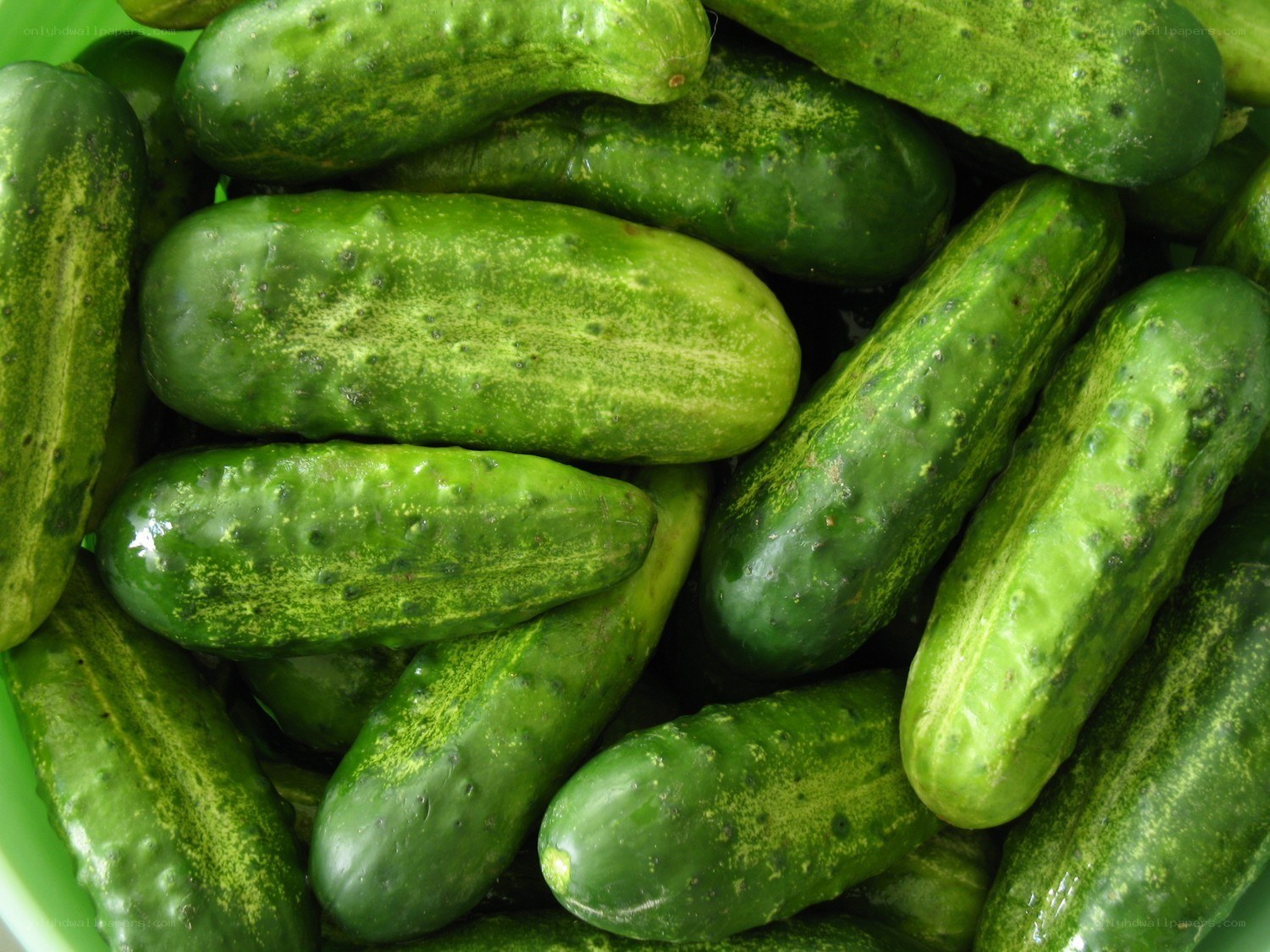 Fresh cucumbers in a bowl
