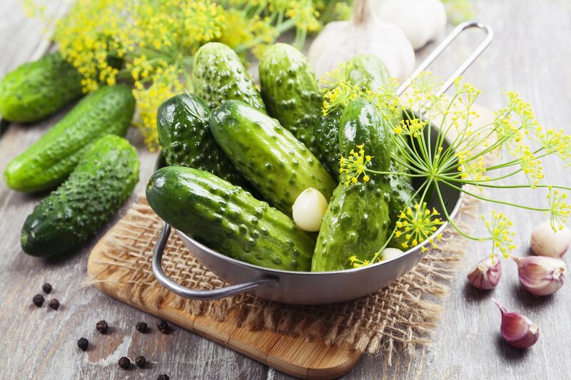 Fresh Cucumbers in Bowl