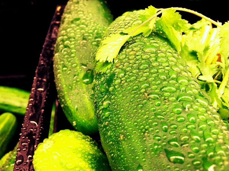 Fresh cucumbers with cilantro