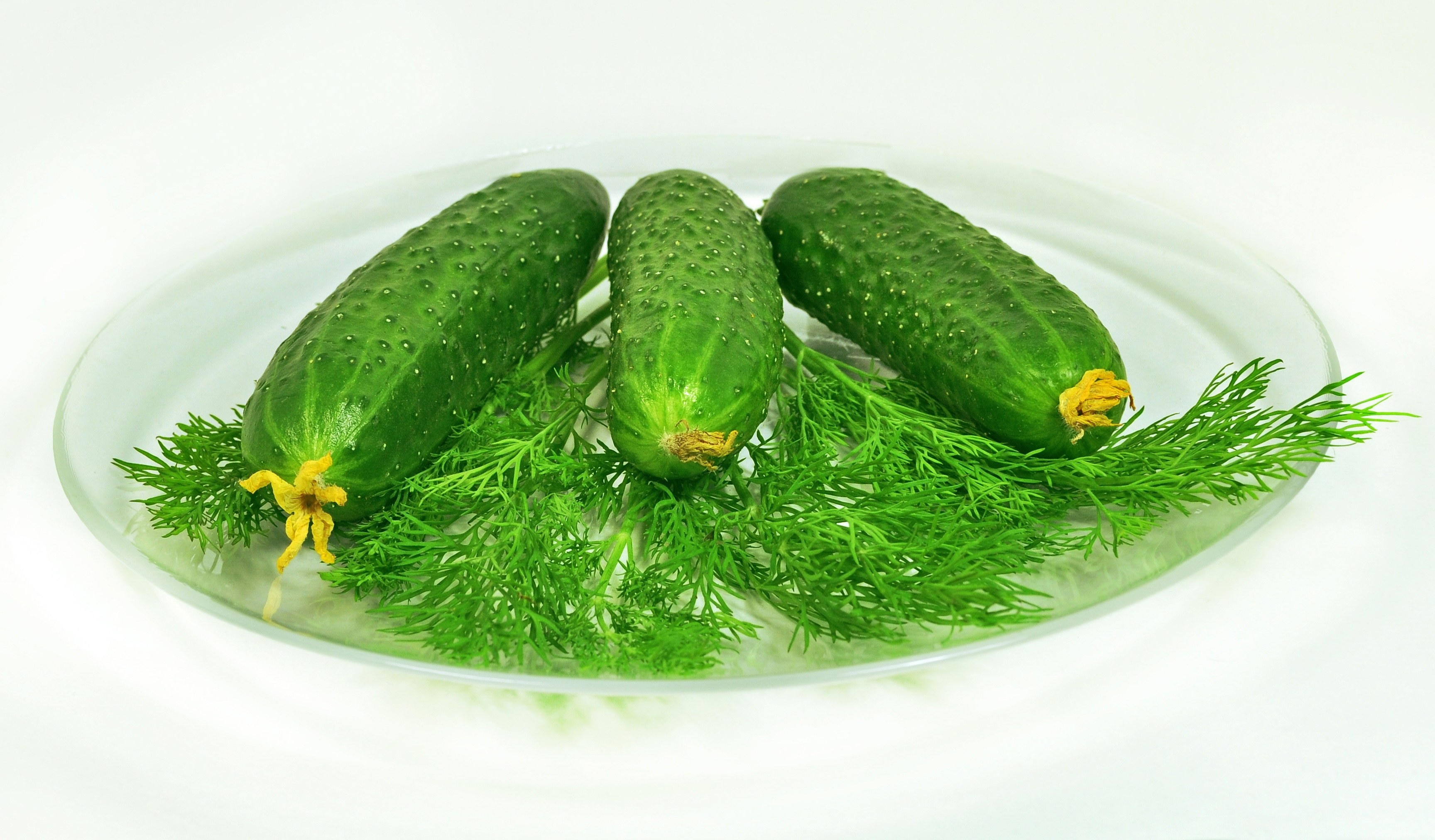 Fresh cucumbers with dill