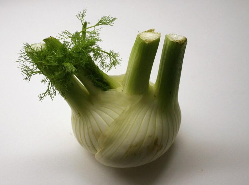Fresh fennel bulb with fronds