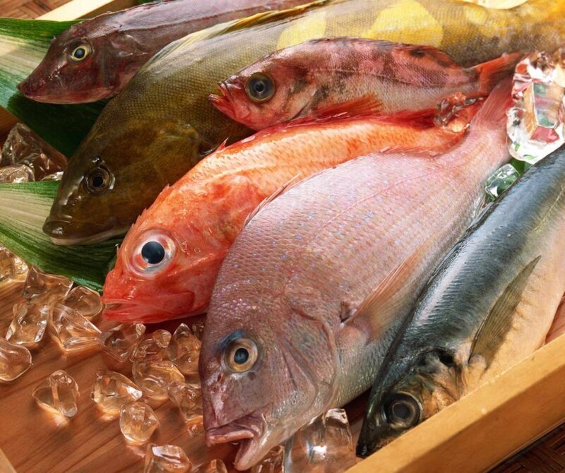 Fresh fish on ice display