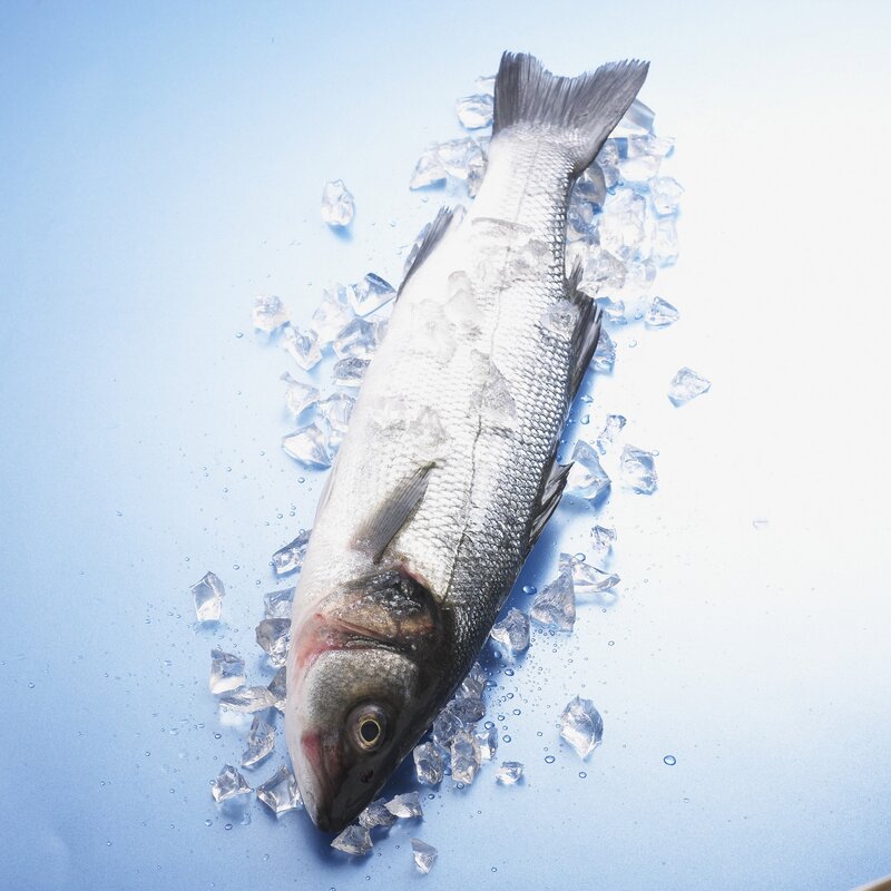 Fresh fish on ice