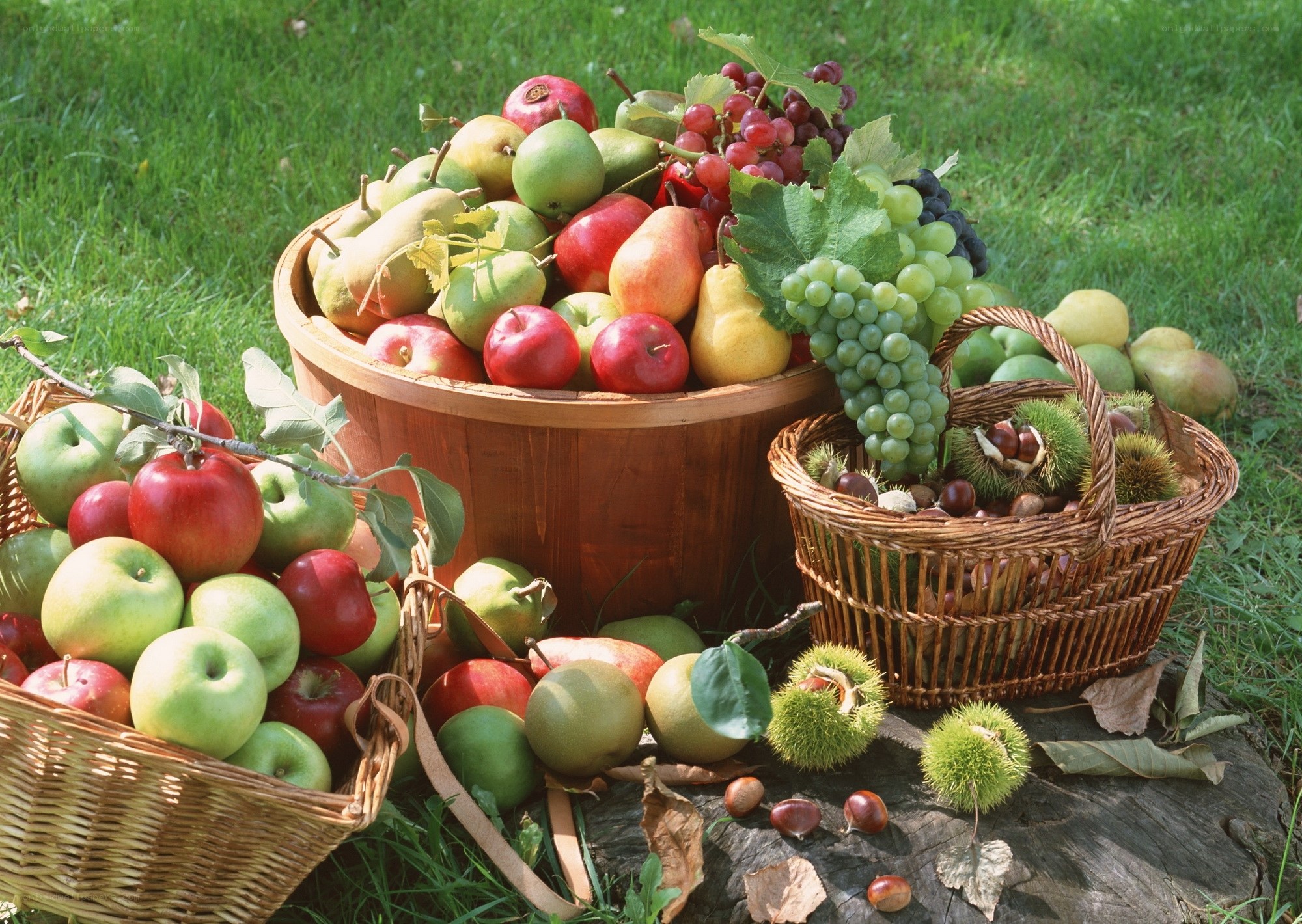 Fresh fruit harvest display