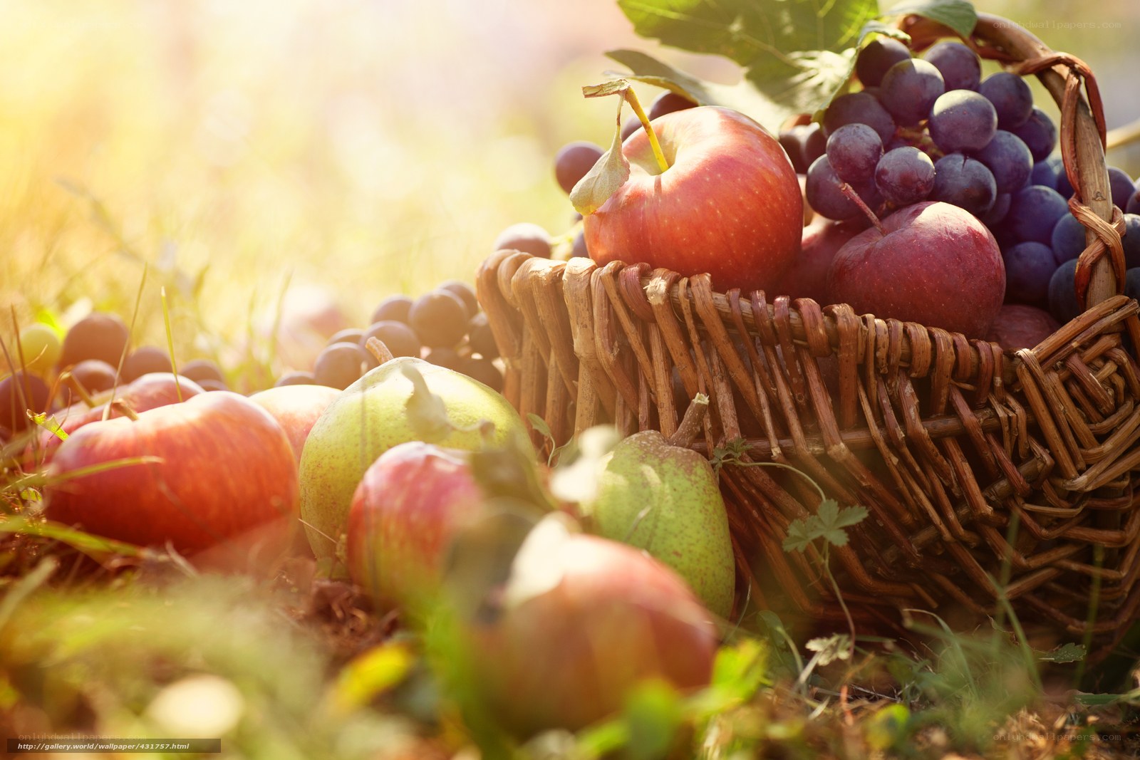Fresh fruit in a basket