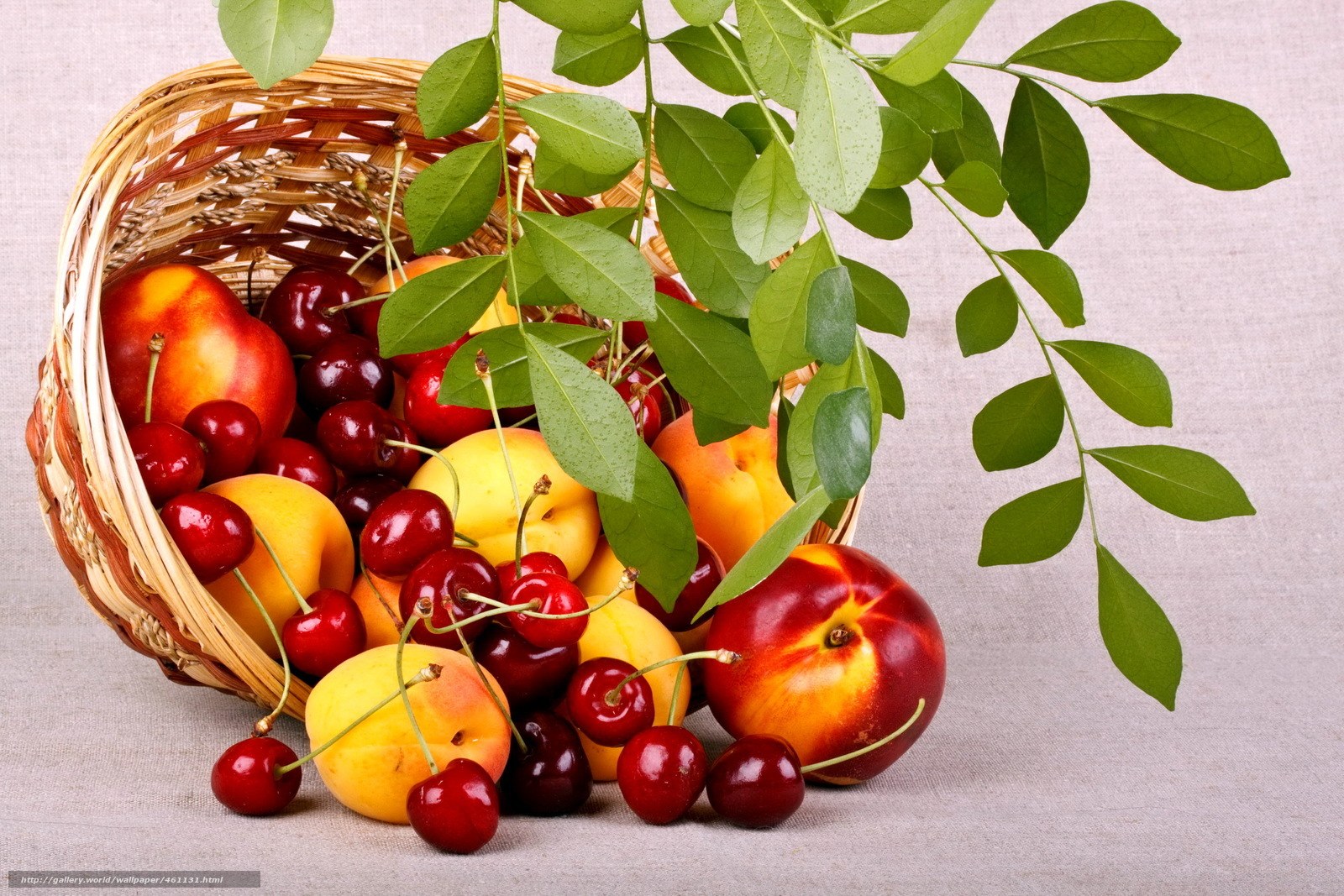 Fresh fruit in a basket