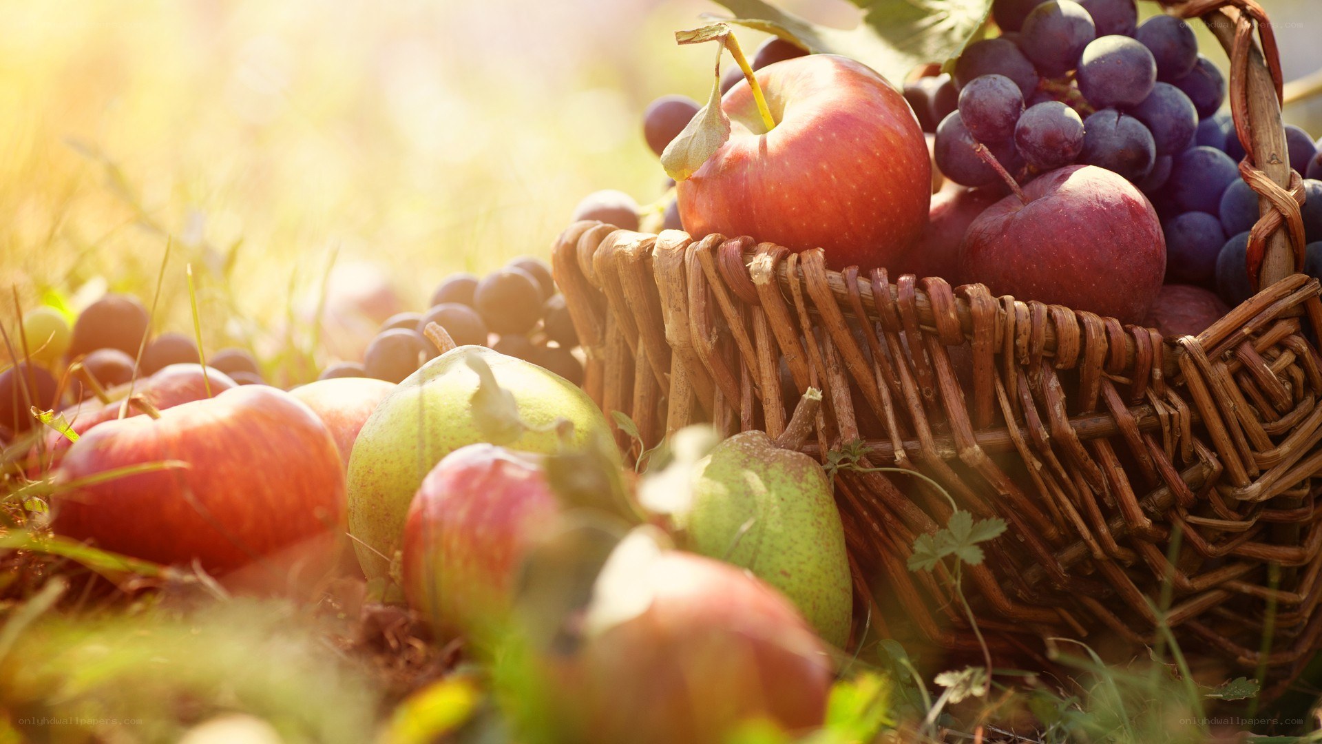 Fresh fruit in a basket