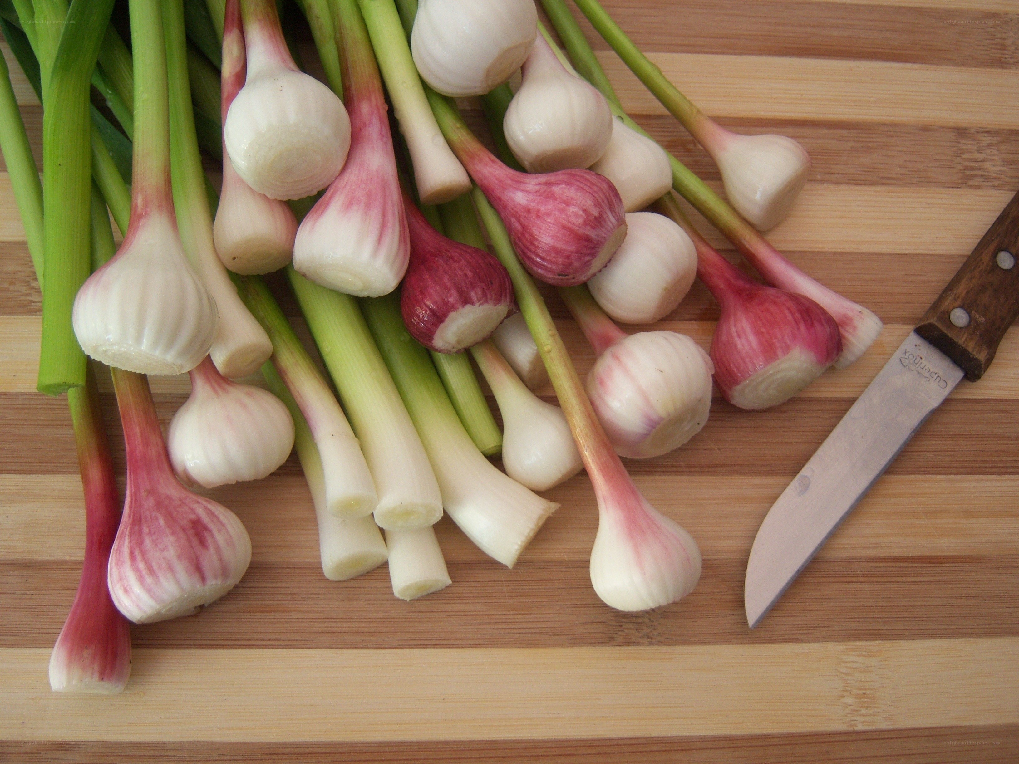 Fresh garlic bulbs on cutting board