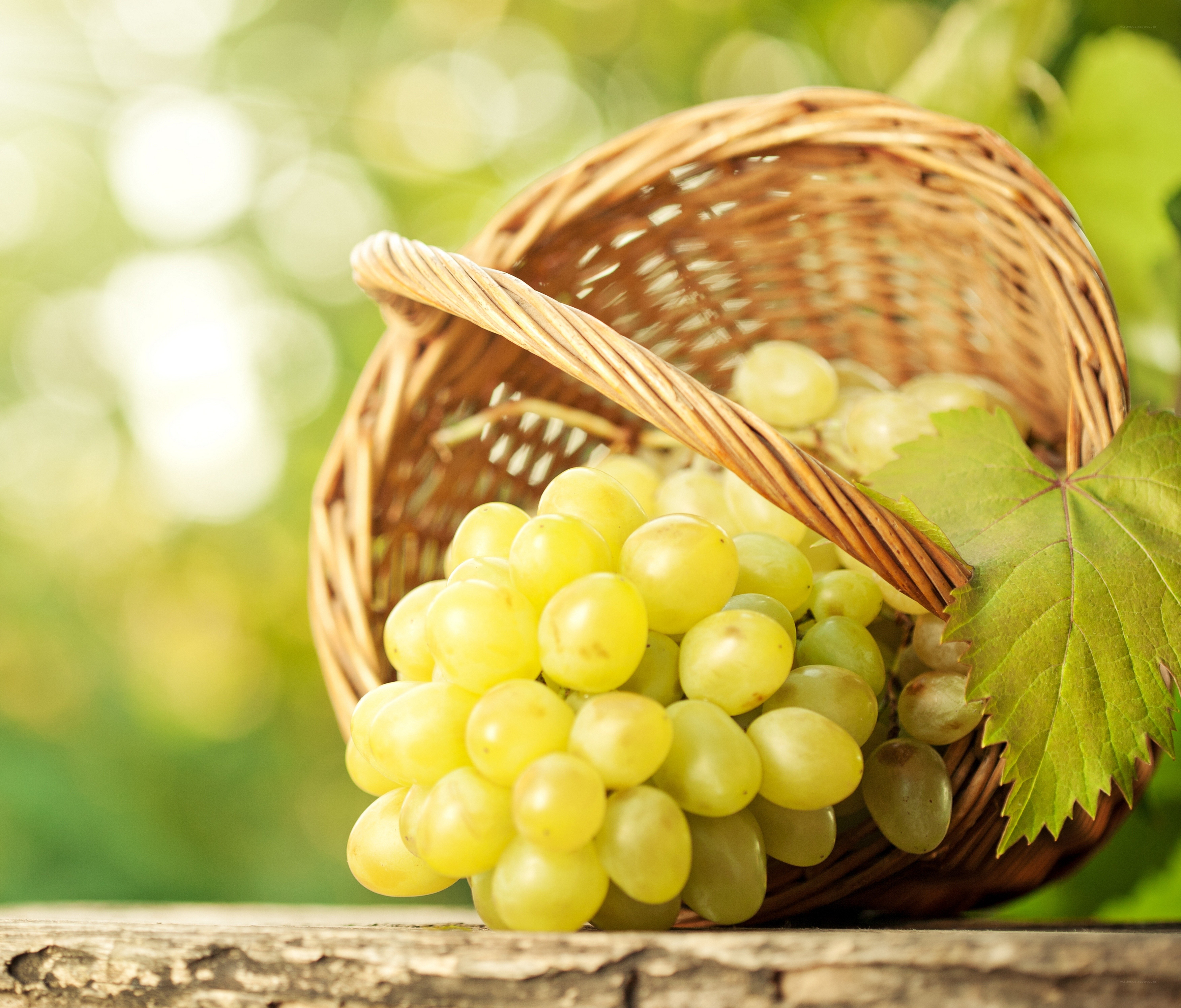 Fresh grapes in a wicker basket