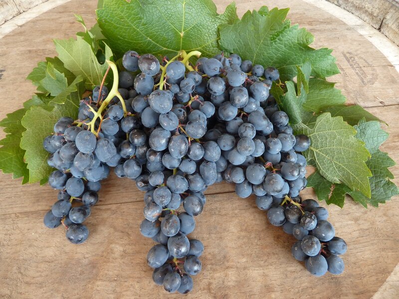 Fresh grapes on wooden surface