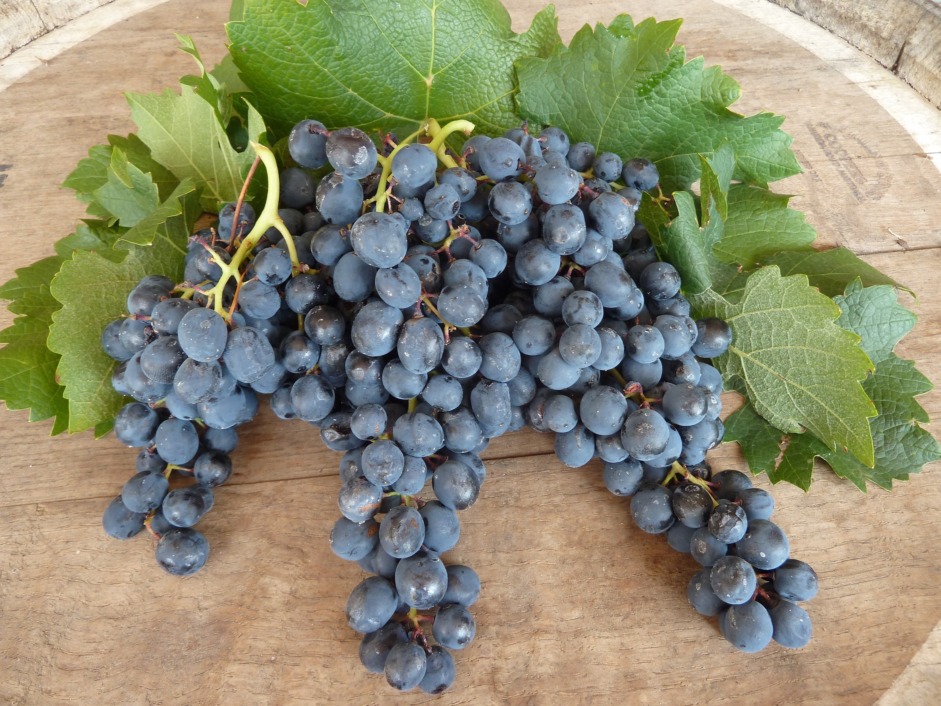 Fresh grapes on wooden surface