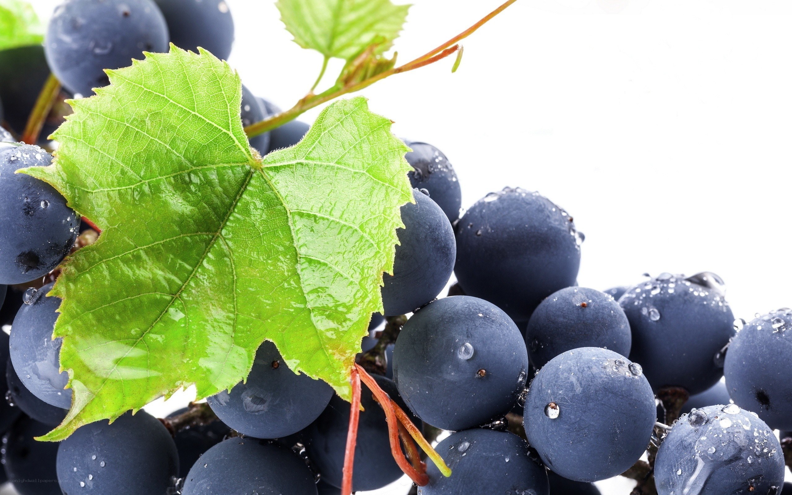 fresh grapes with green leaf