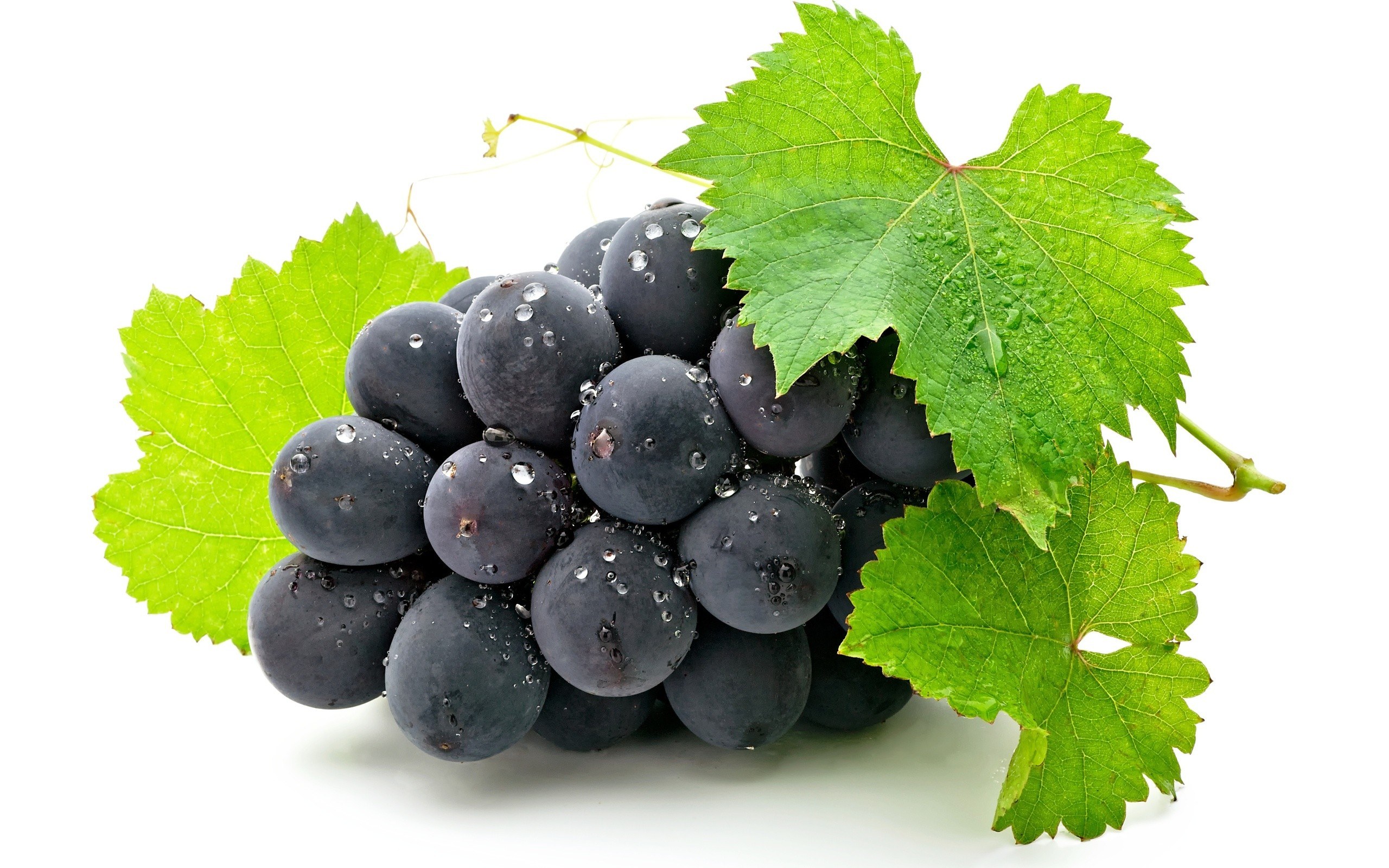 fresh grapes with leaves