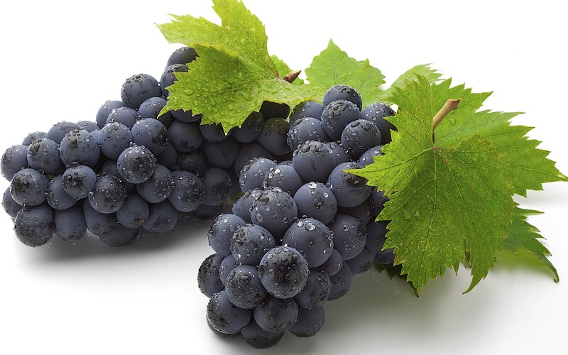 fresh grapes with leaves