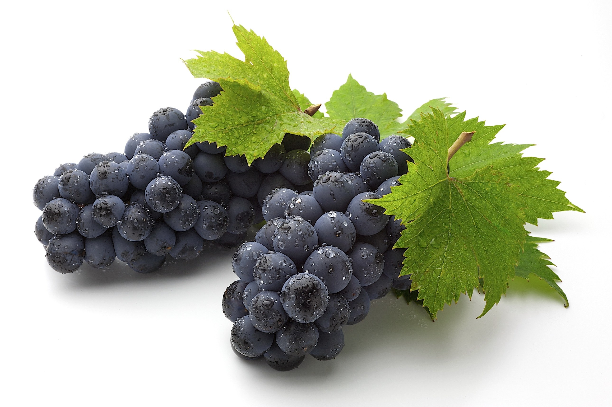 fresh grapes with leaves