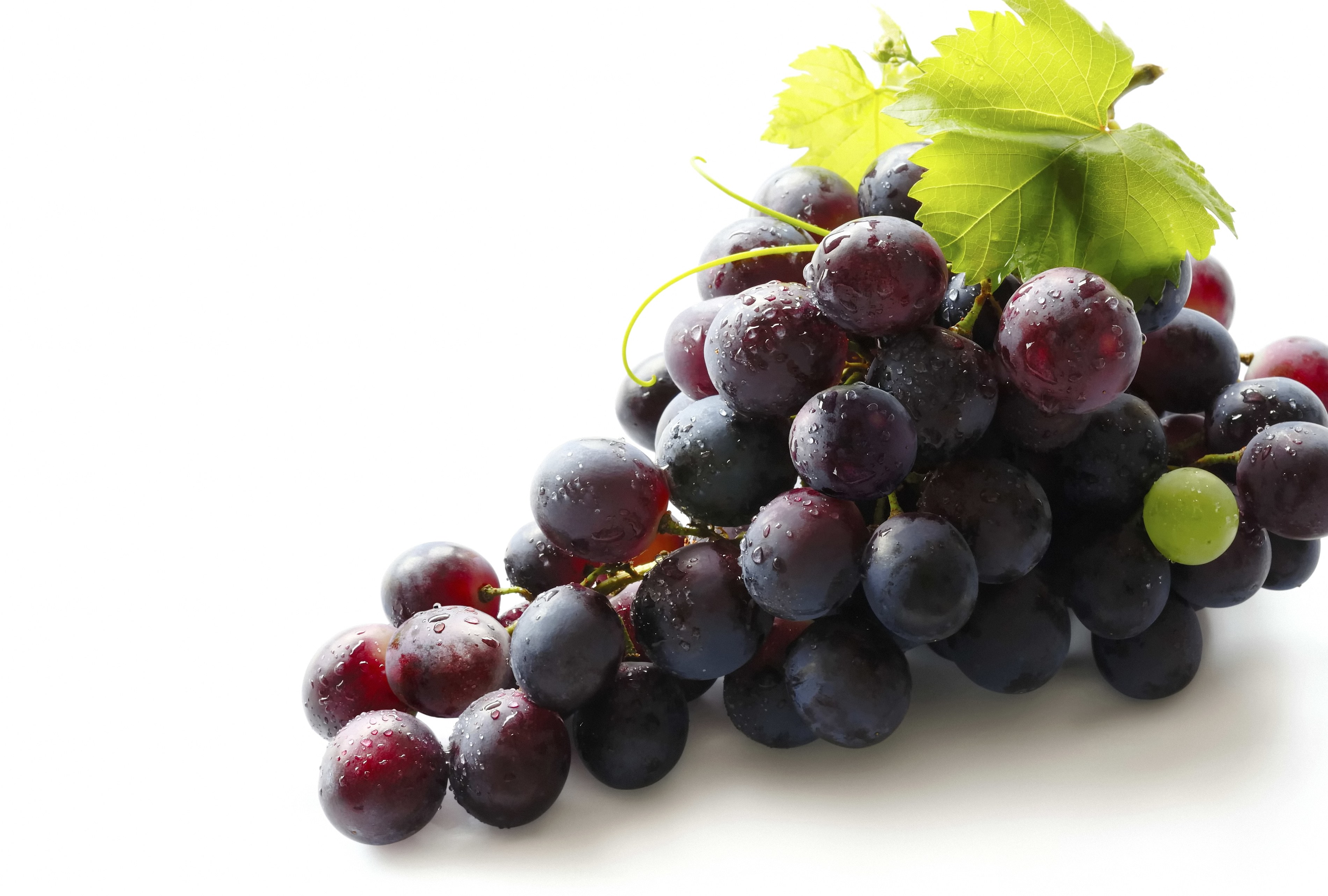 fresh grapes with water droplets