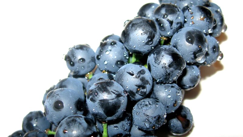 fresh grapes with water droplets