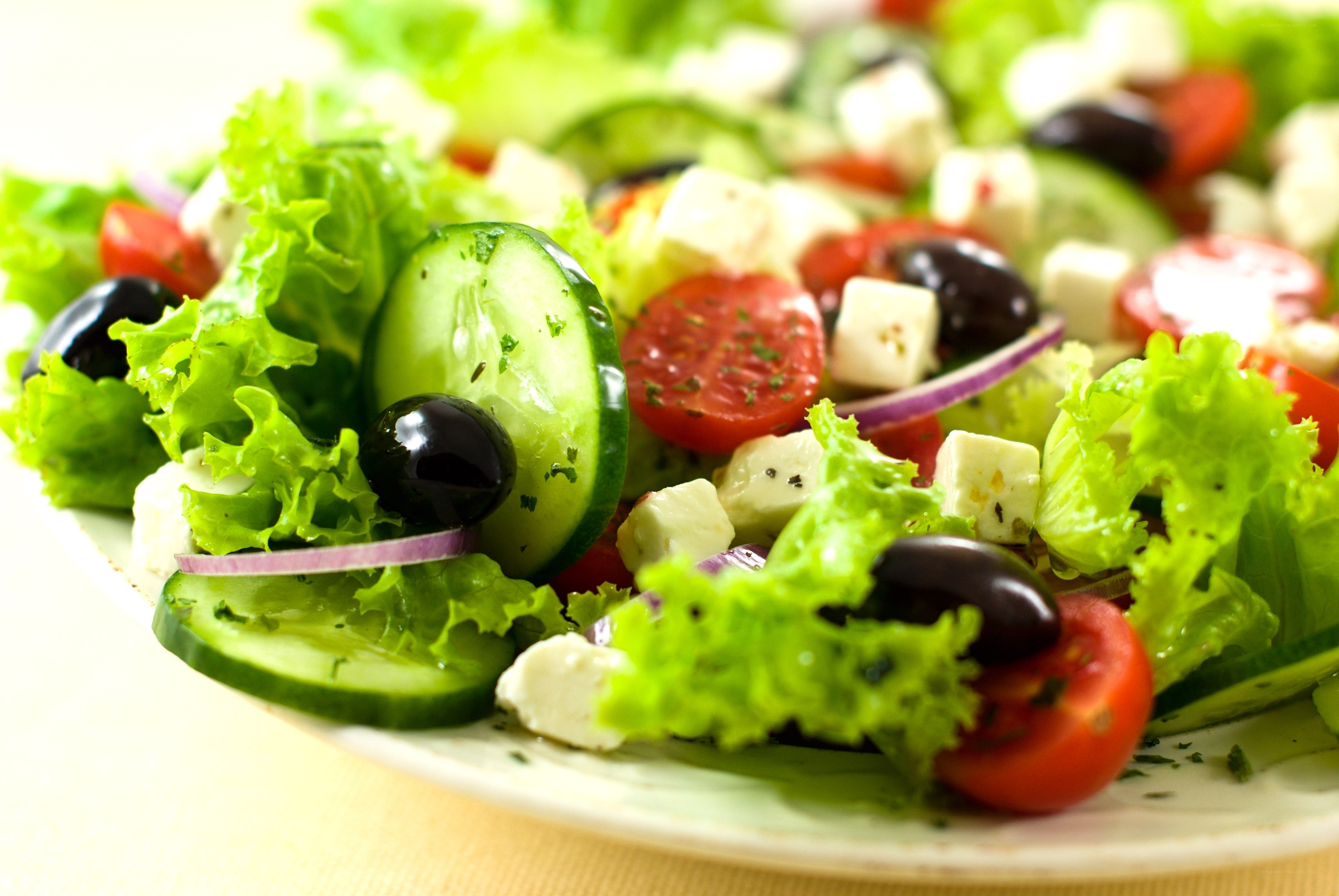 Fresh Greek salad on a plate