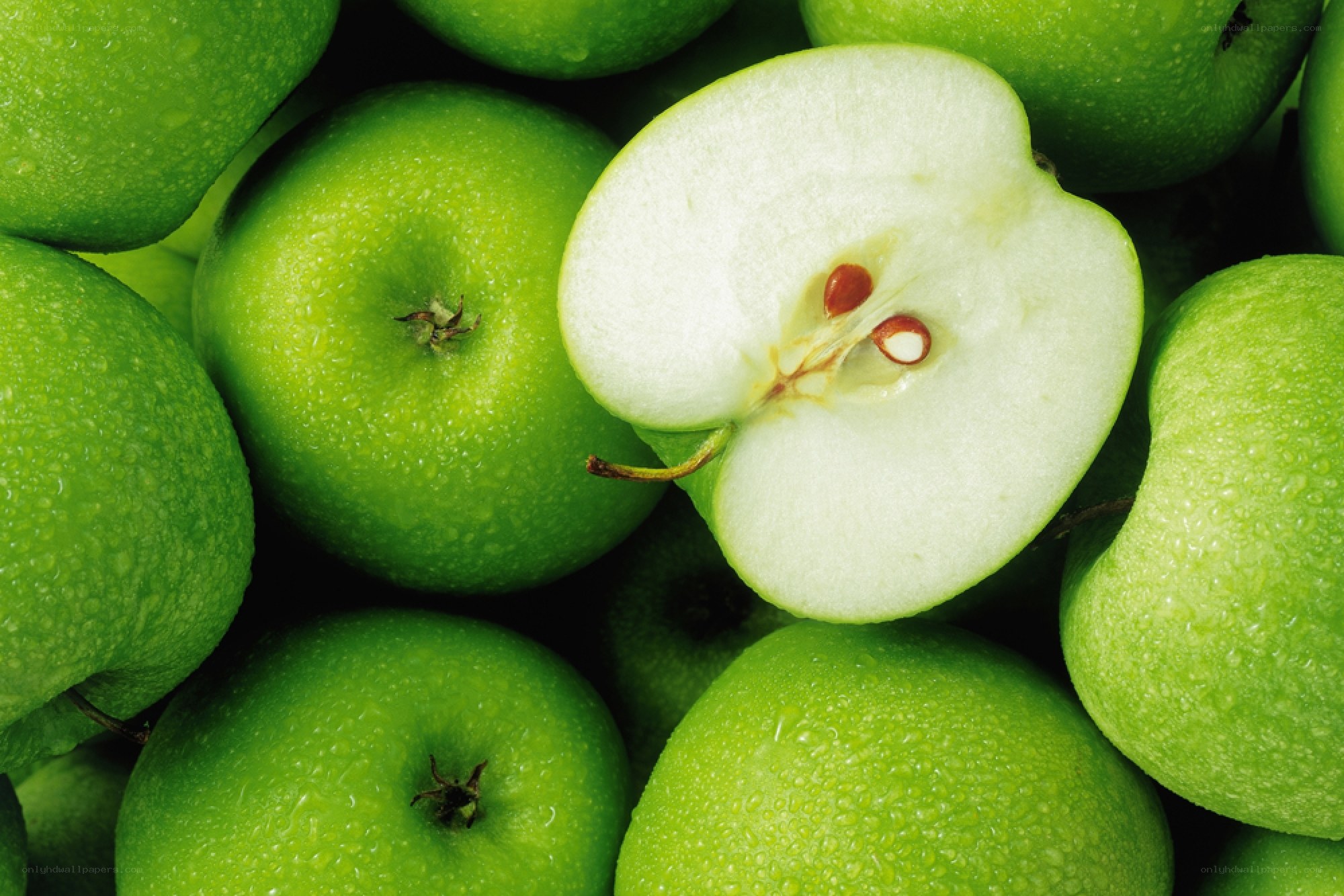 Fresh green apples close-up
