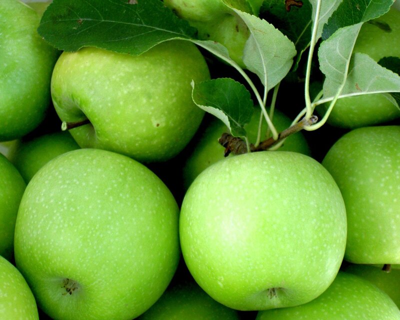 Fresh green apples with leaves