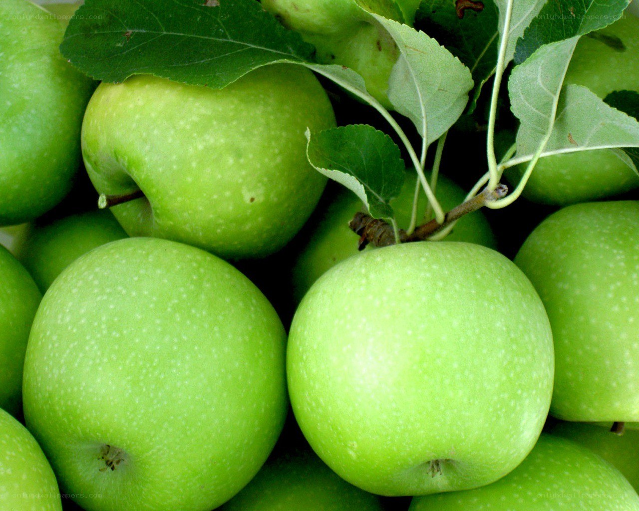Fresh green apples with leaves