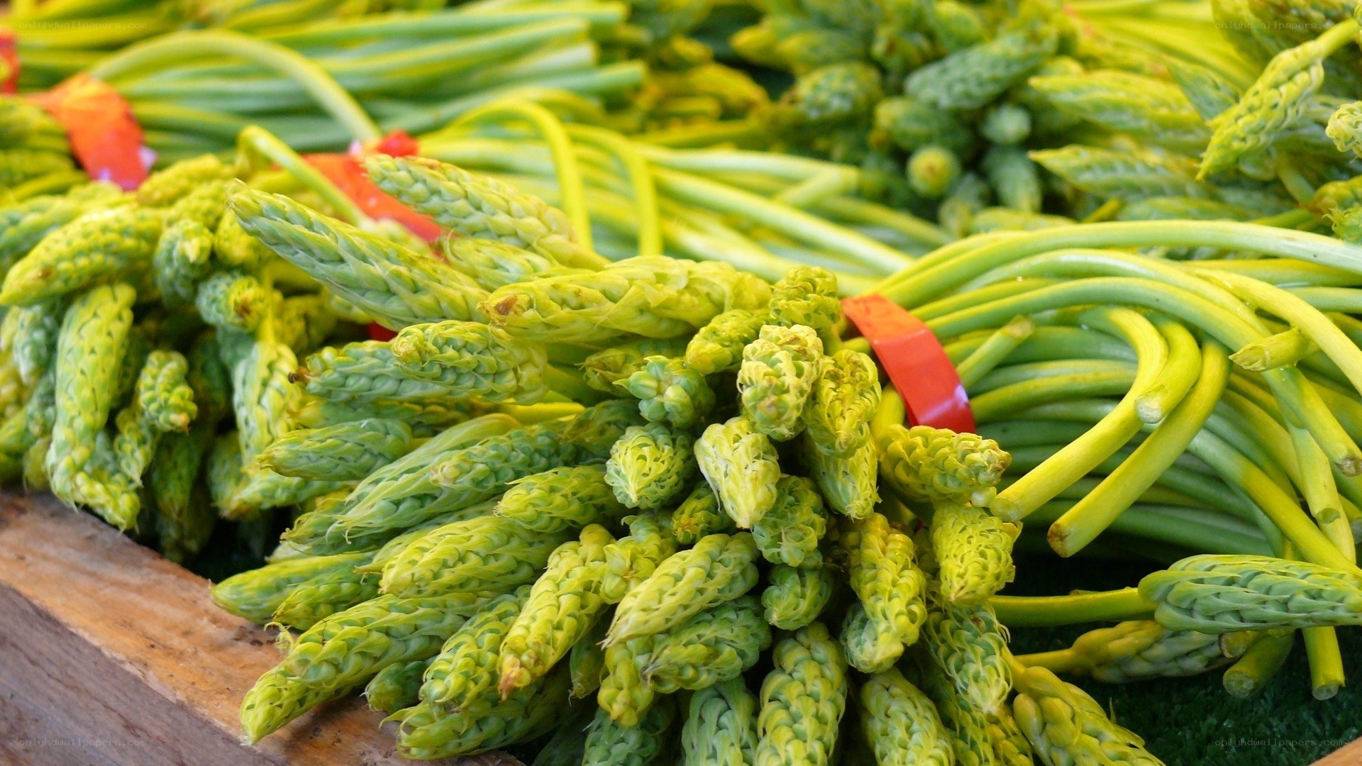 Fresh green asparagus bundles