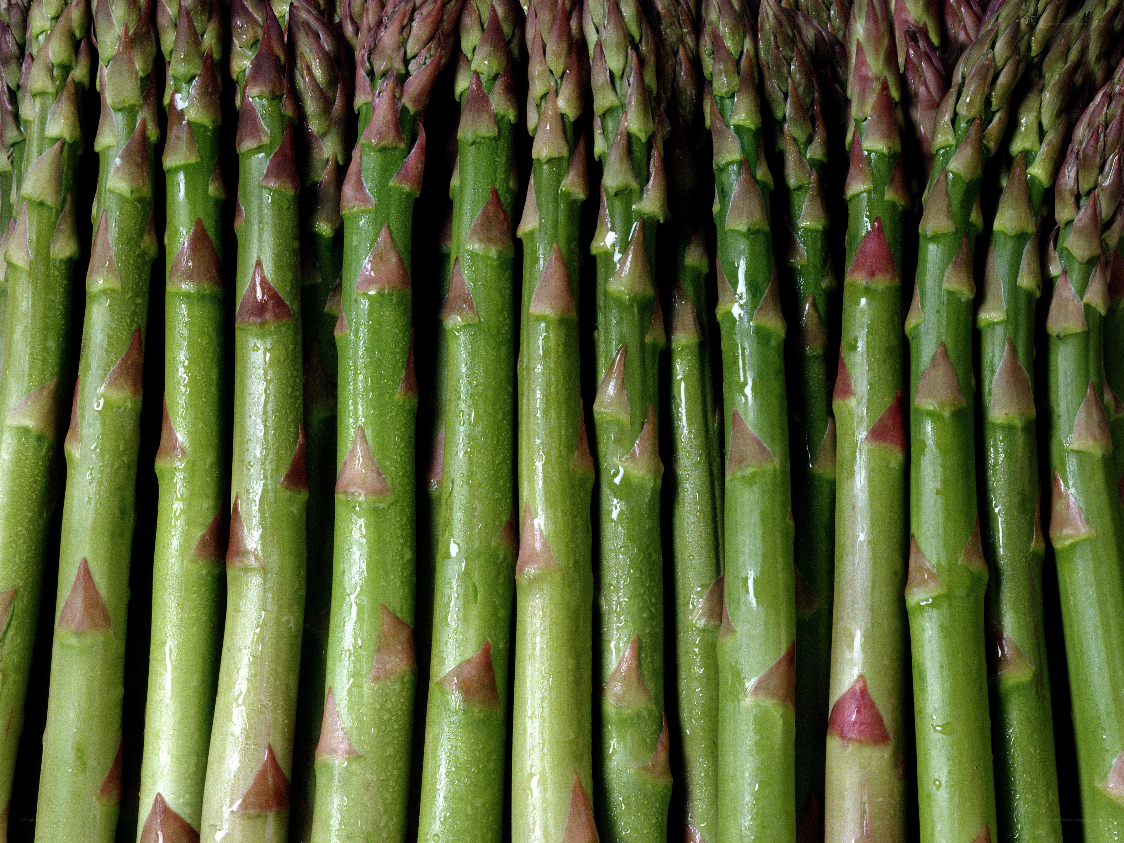 Fresh green asparagus spears