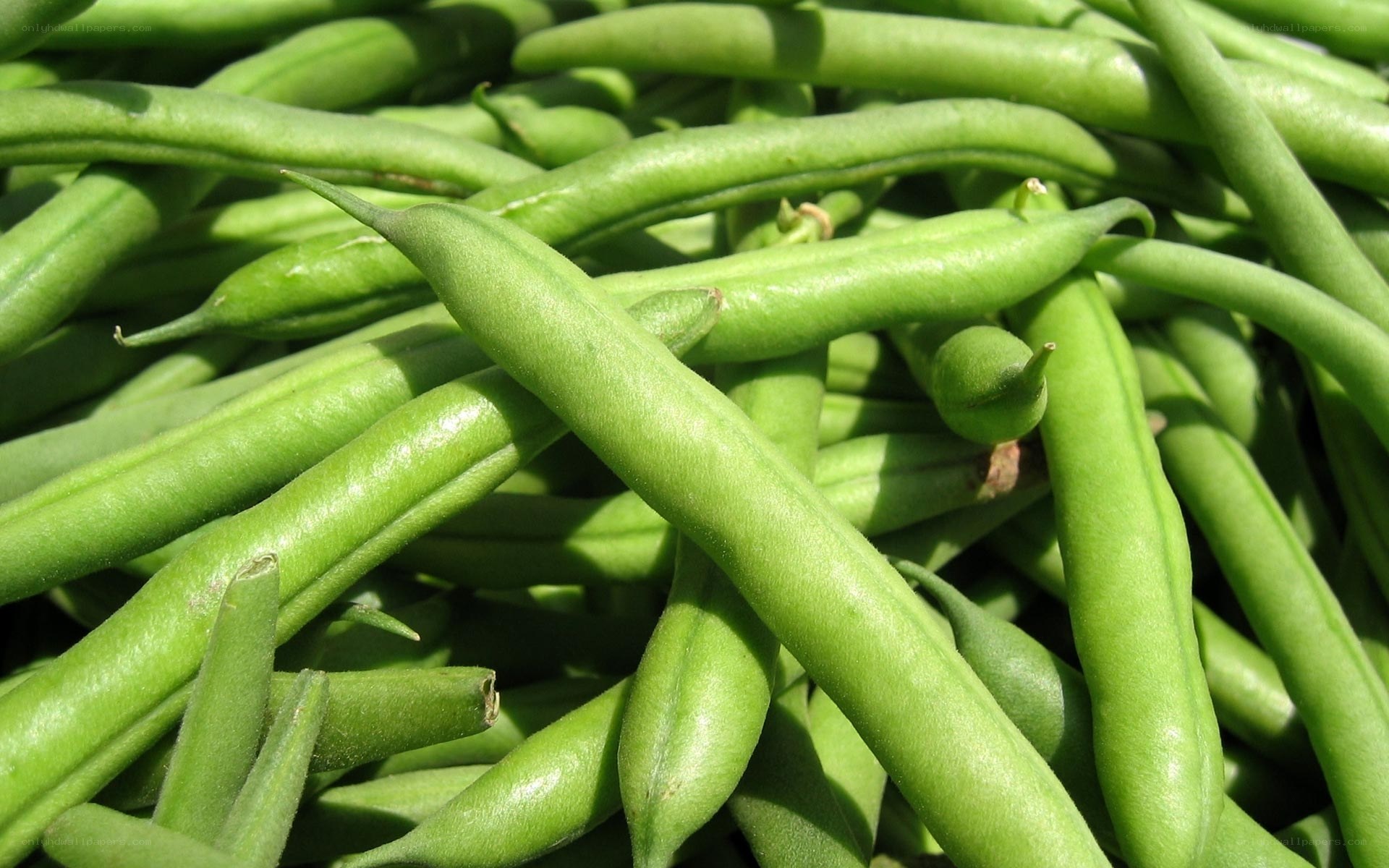 Fresh green beans in a pile