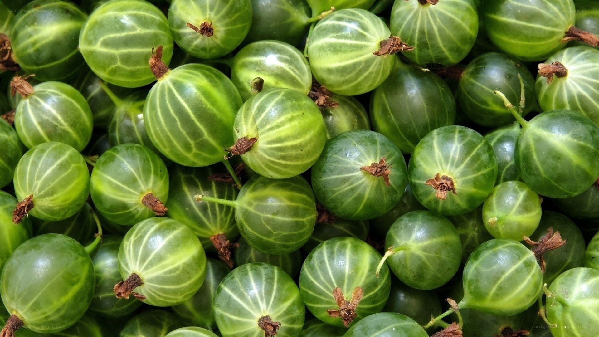 Fresh green gooseberries