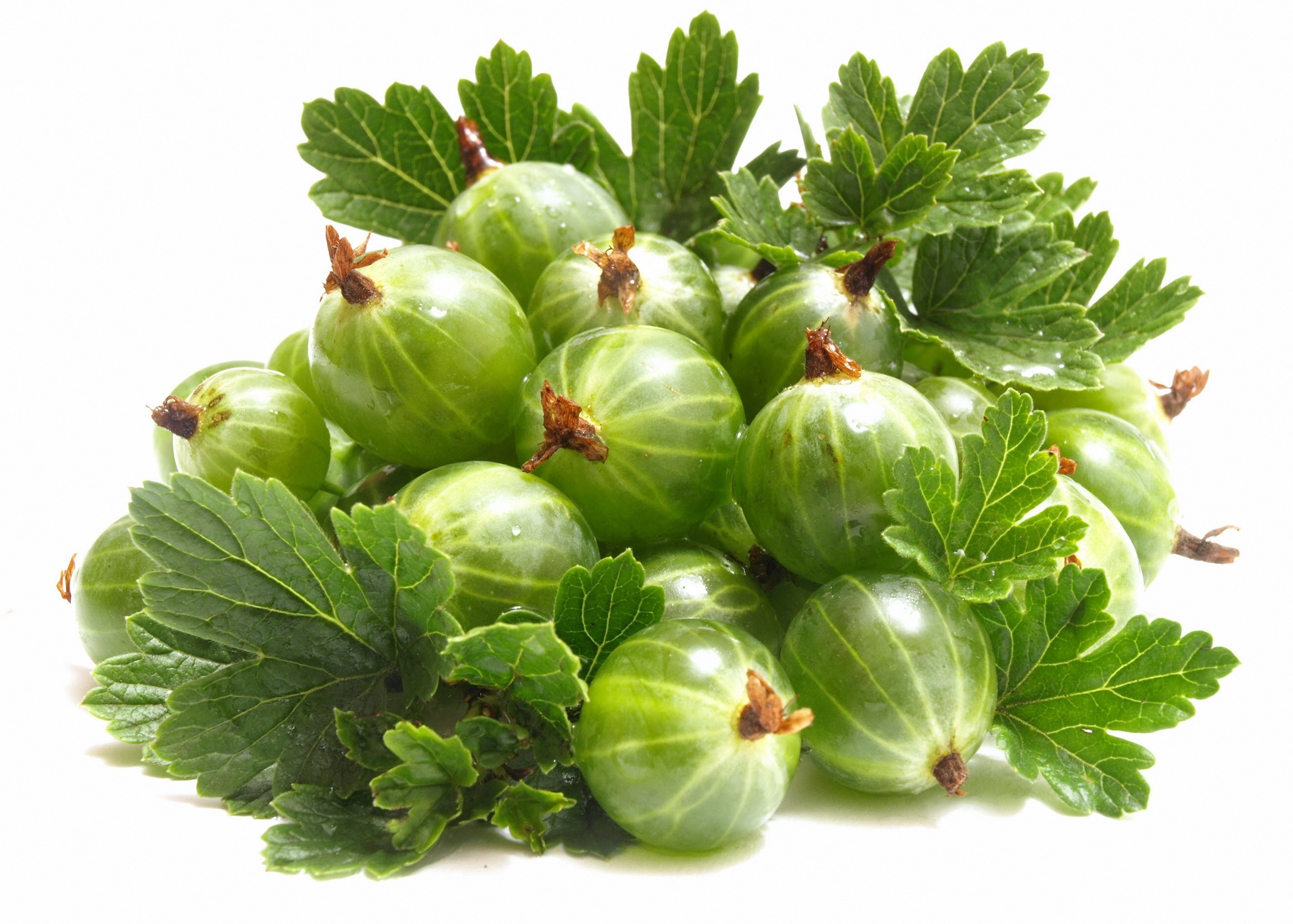 Fresh green gooseberries with leaves