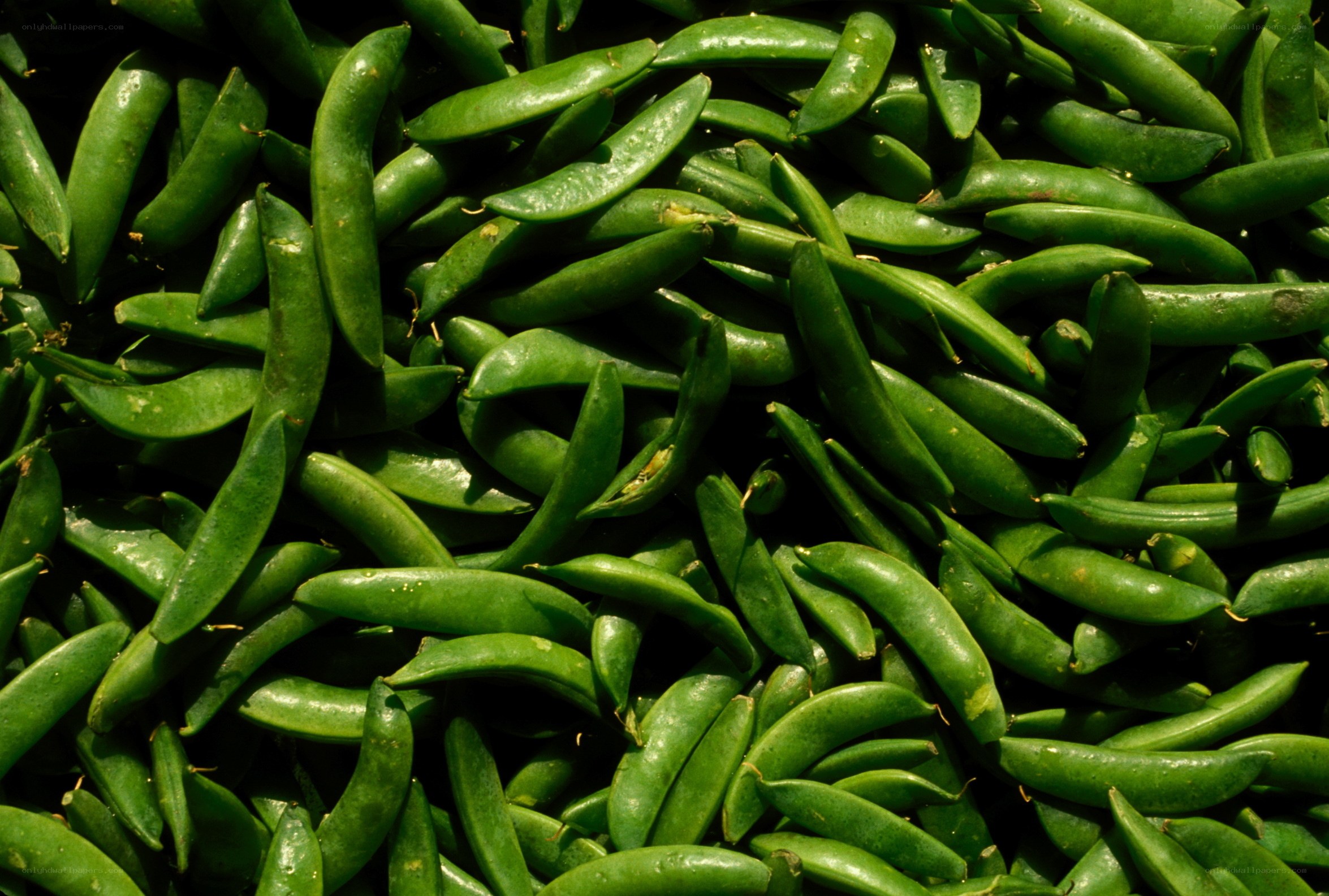 Fresh green pea pods
