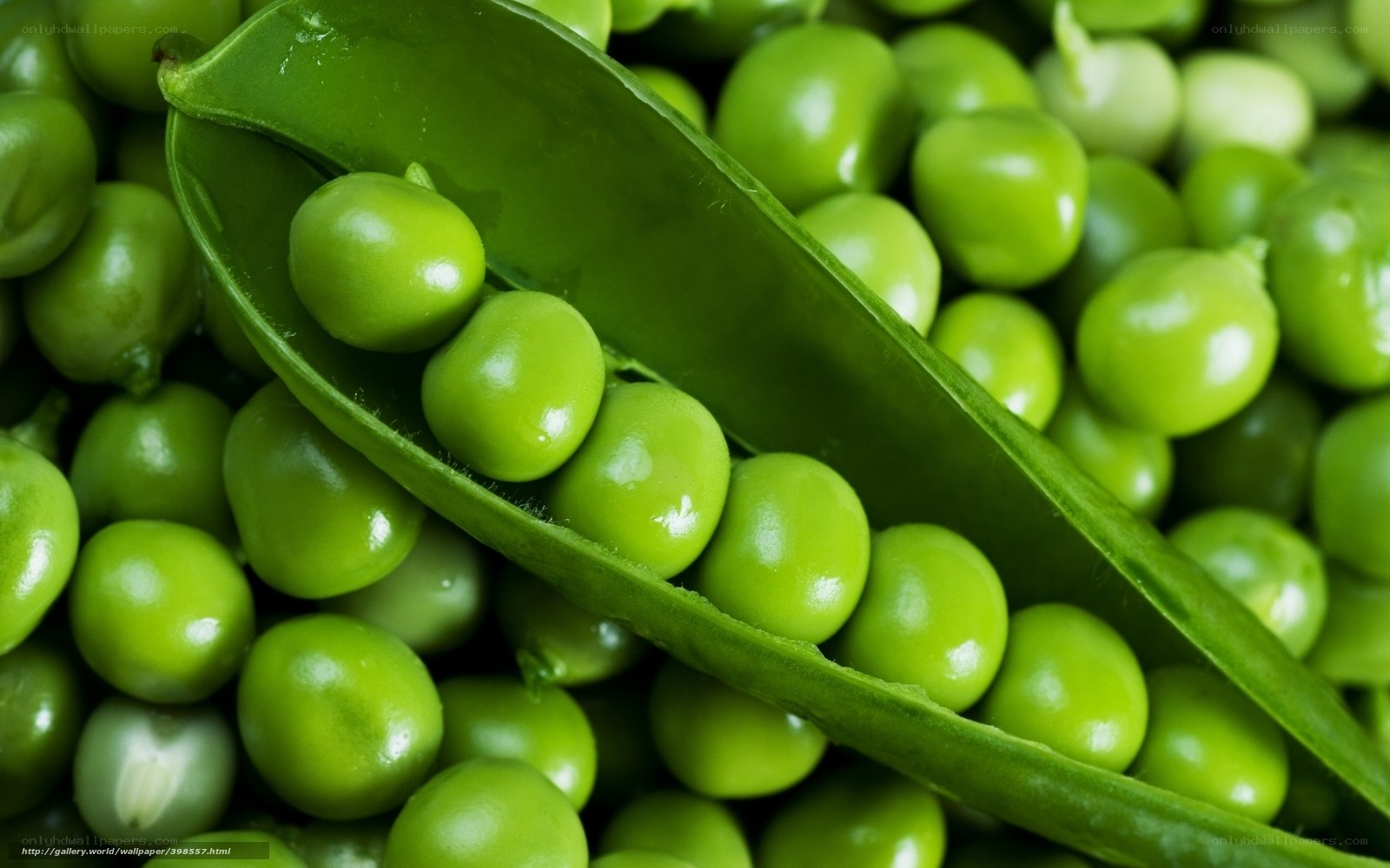 Fresh green peas in pod