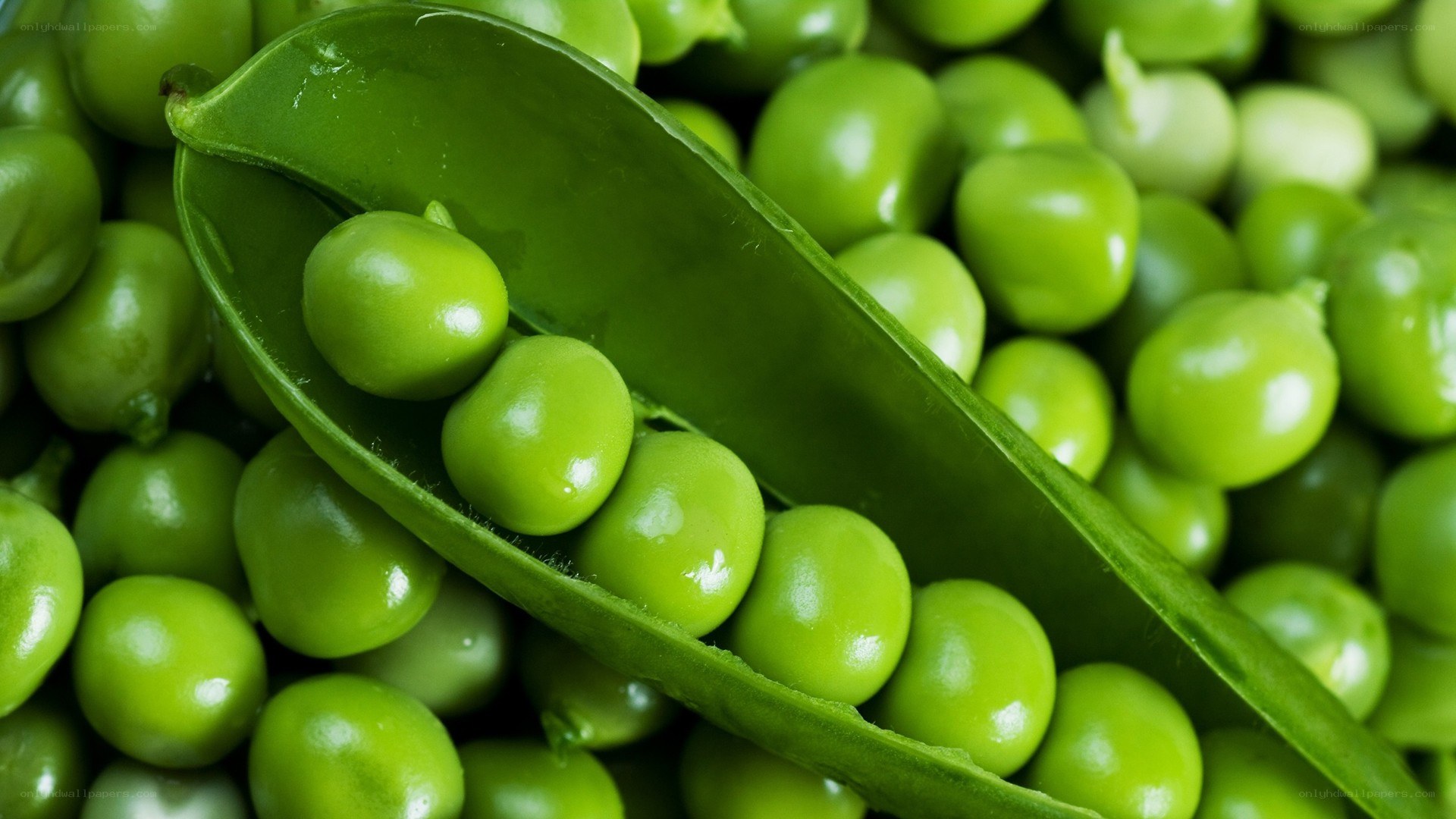 Fresh green peas in pod