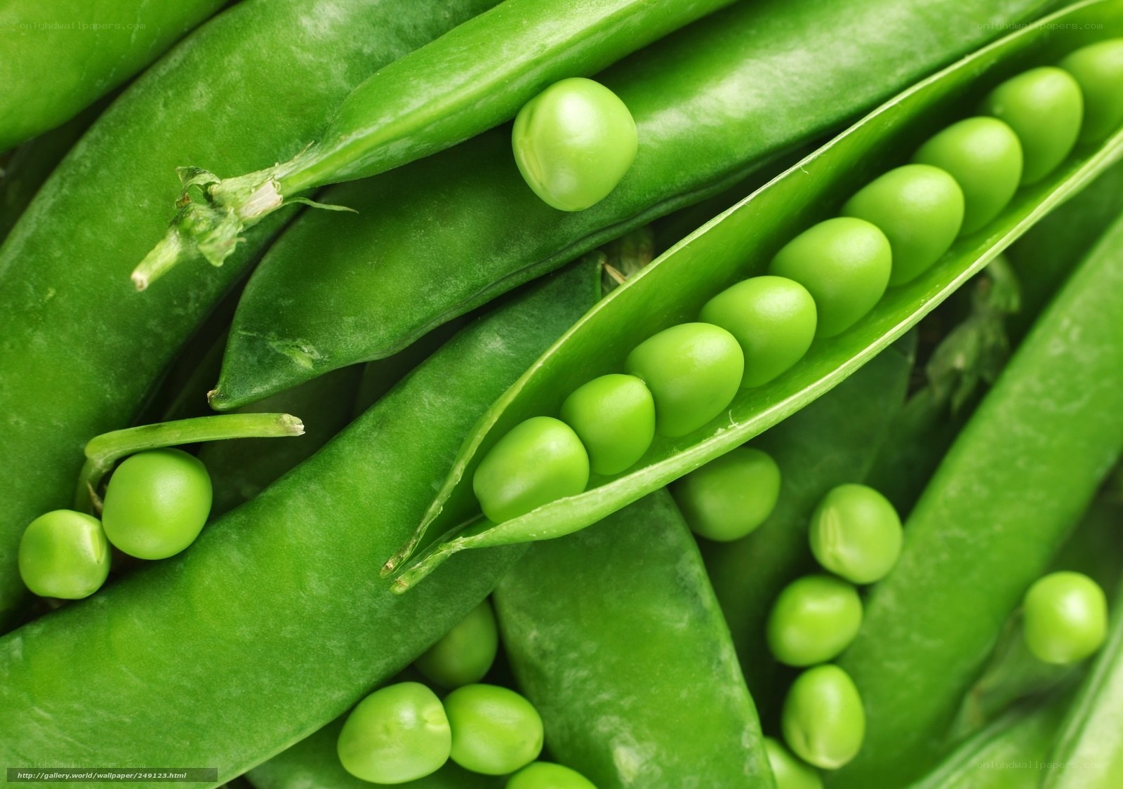 Fresh green peas in pods