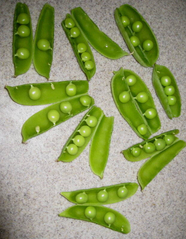 Fresh green peas in pods