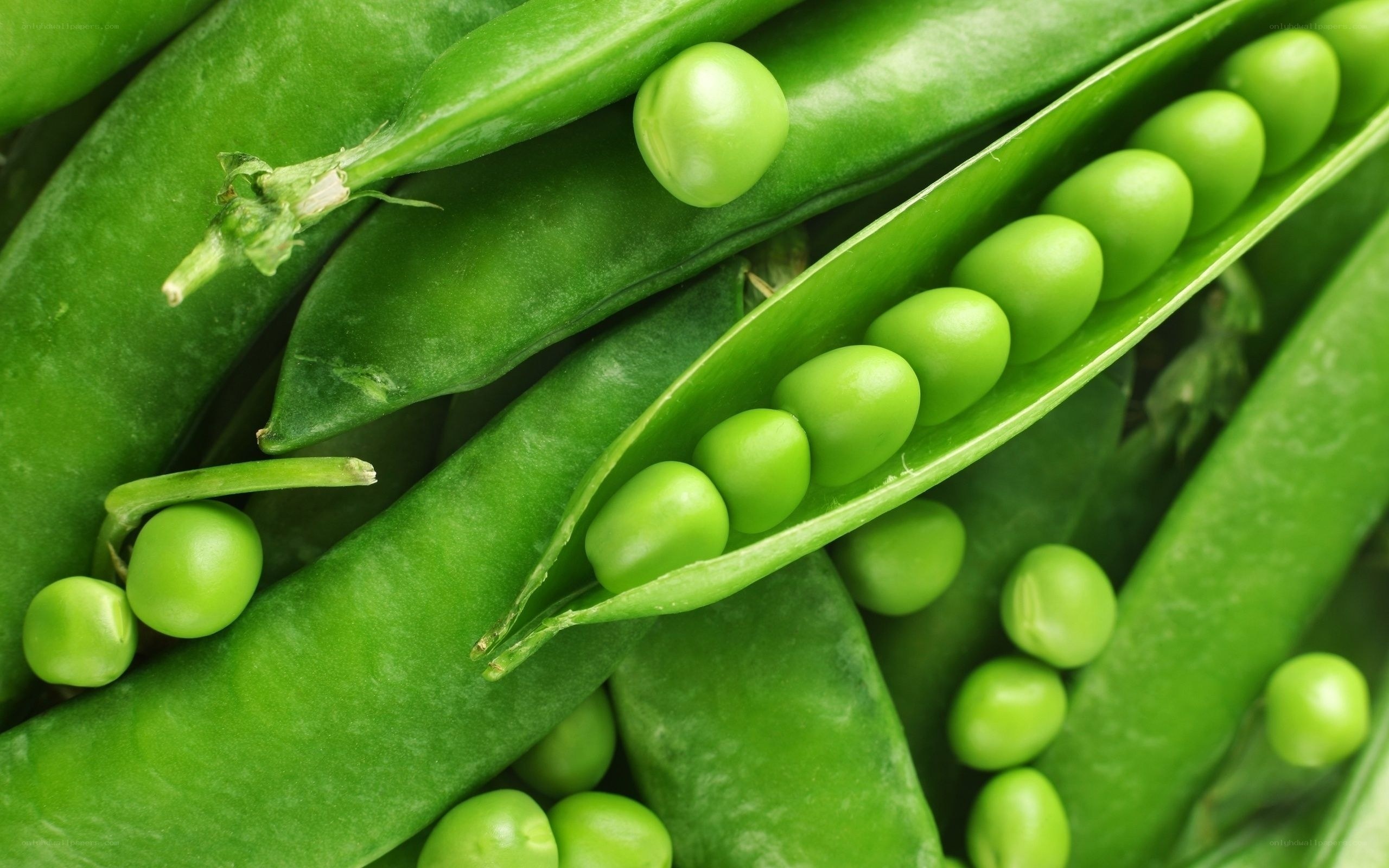Fresh green peas in pods