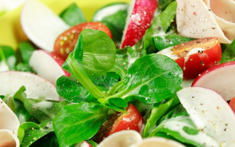 Fresh Green Salad