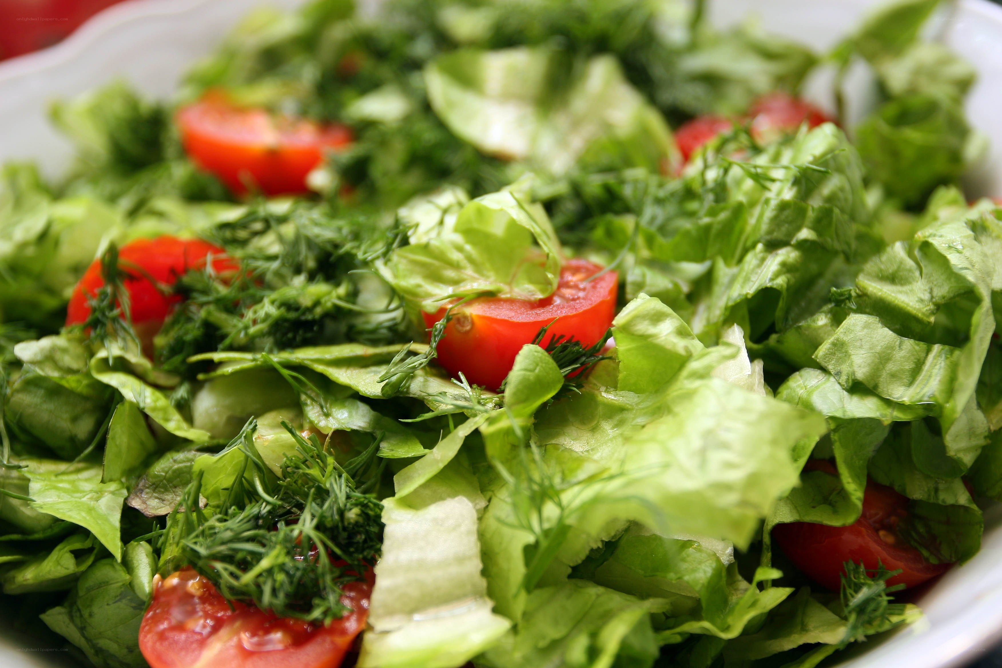 fresh green salad with tomatoes