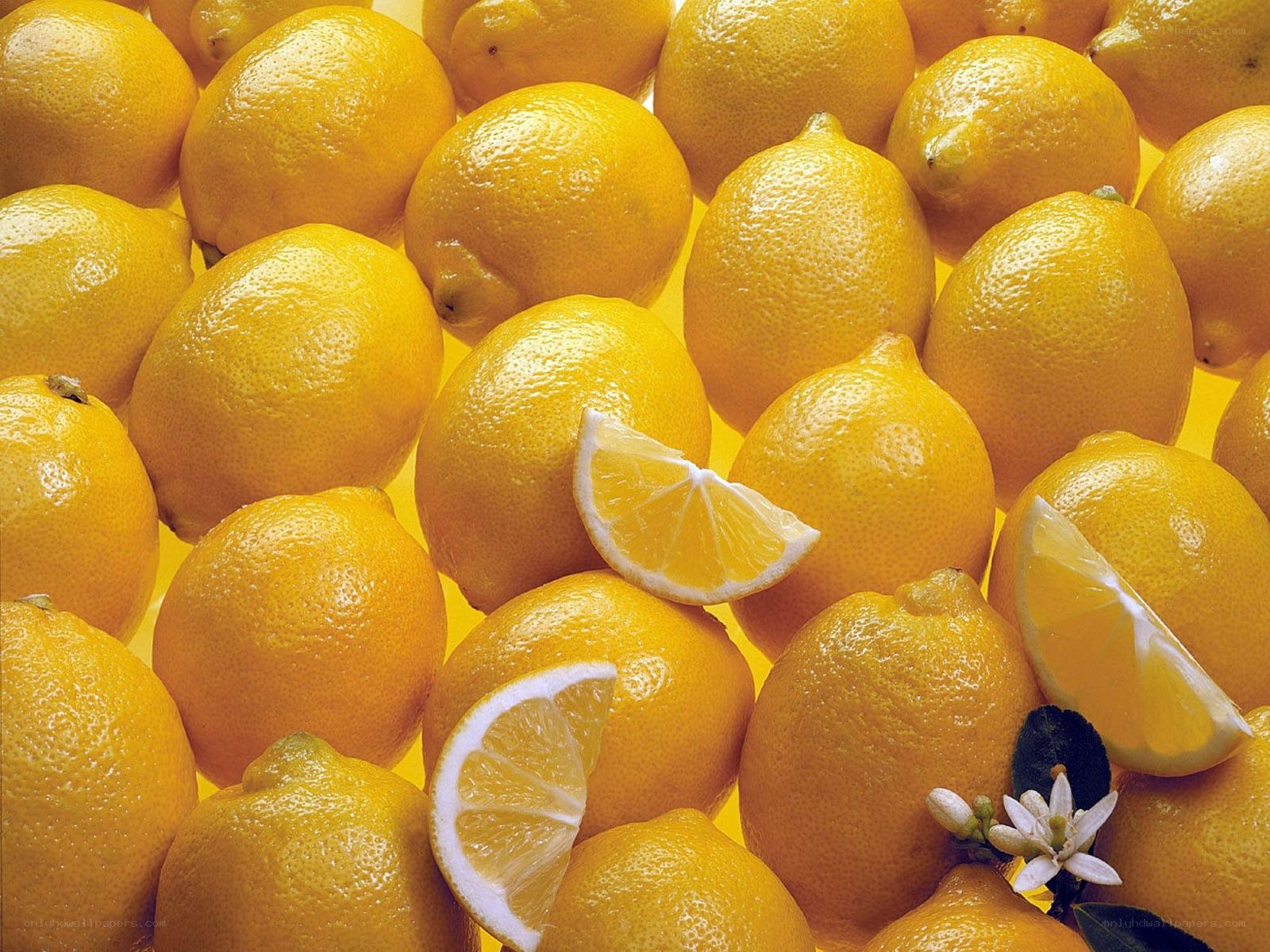 Fresh lemons and slices
