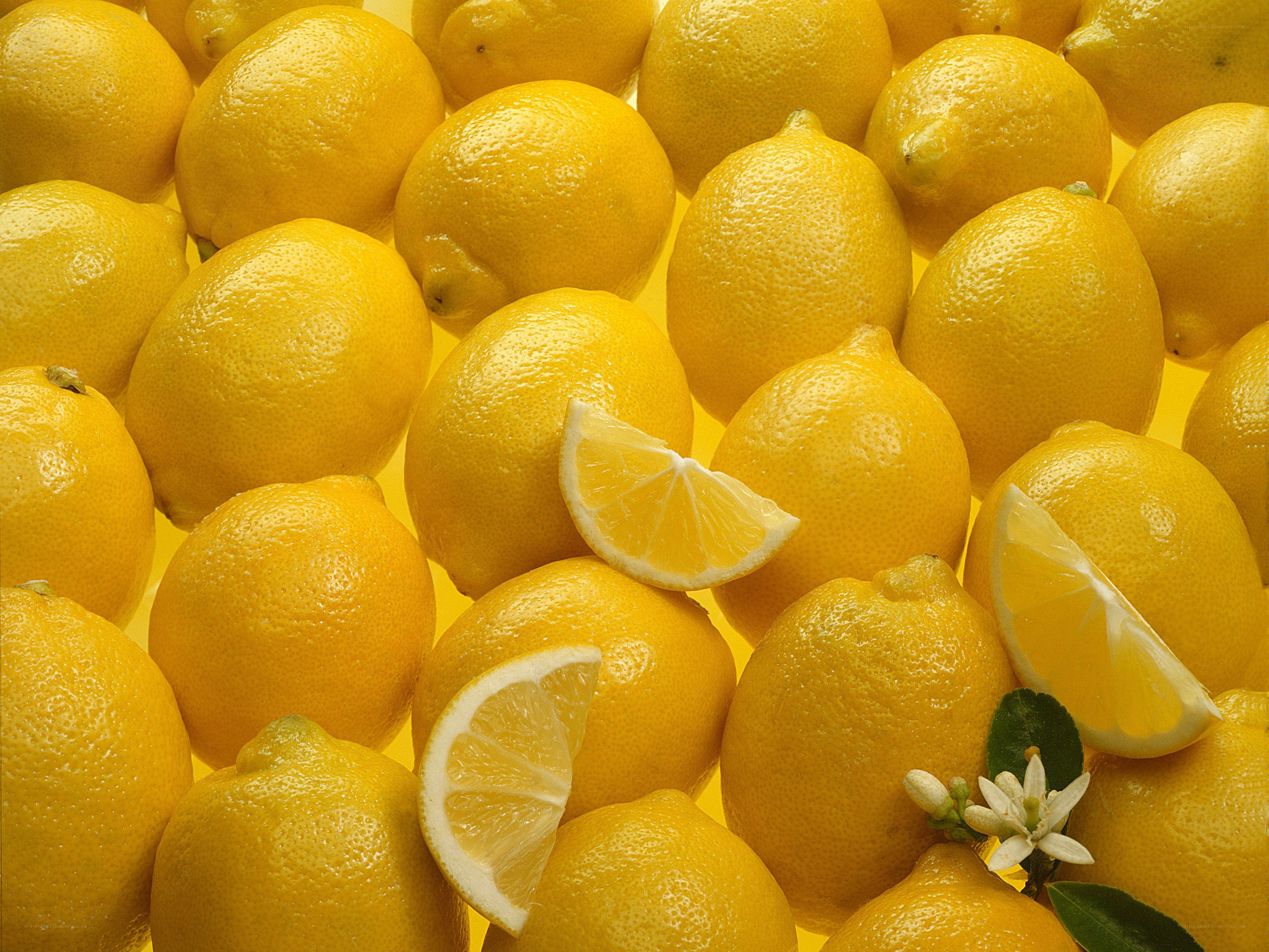 Fresh lemons and slices