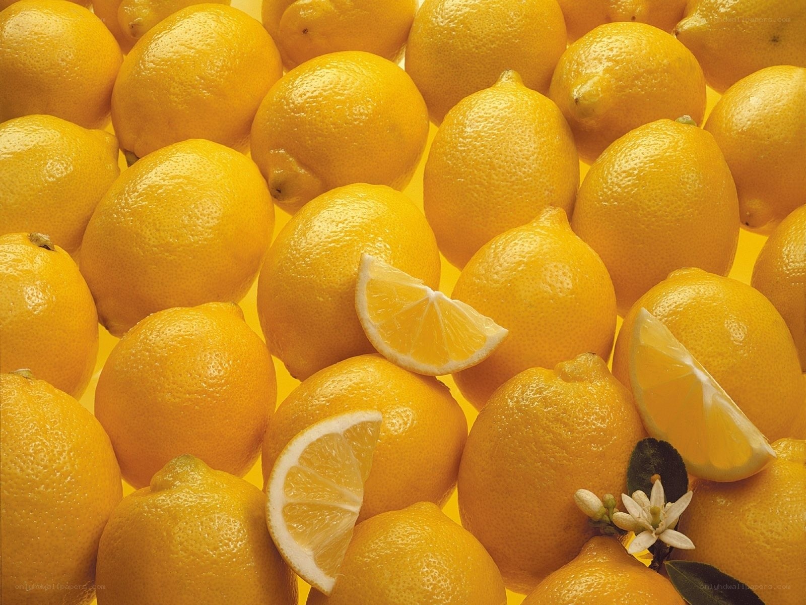Fresh lemons and slices