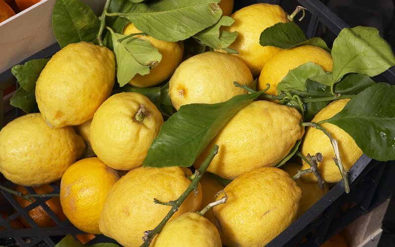 Fresh lemons with leaves