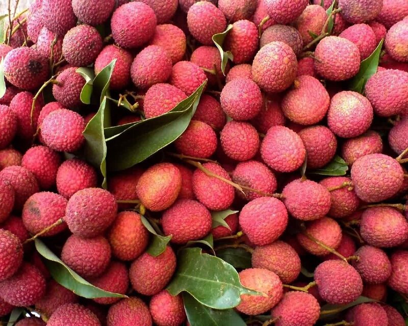 Fresh lychee fruit with leaves