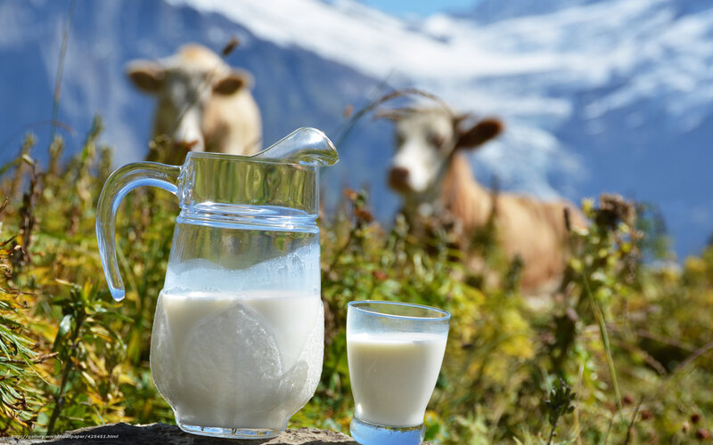 Fresh milk in mountain pasture