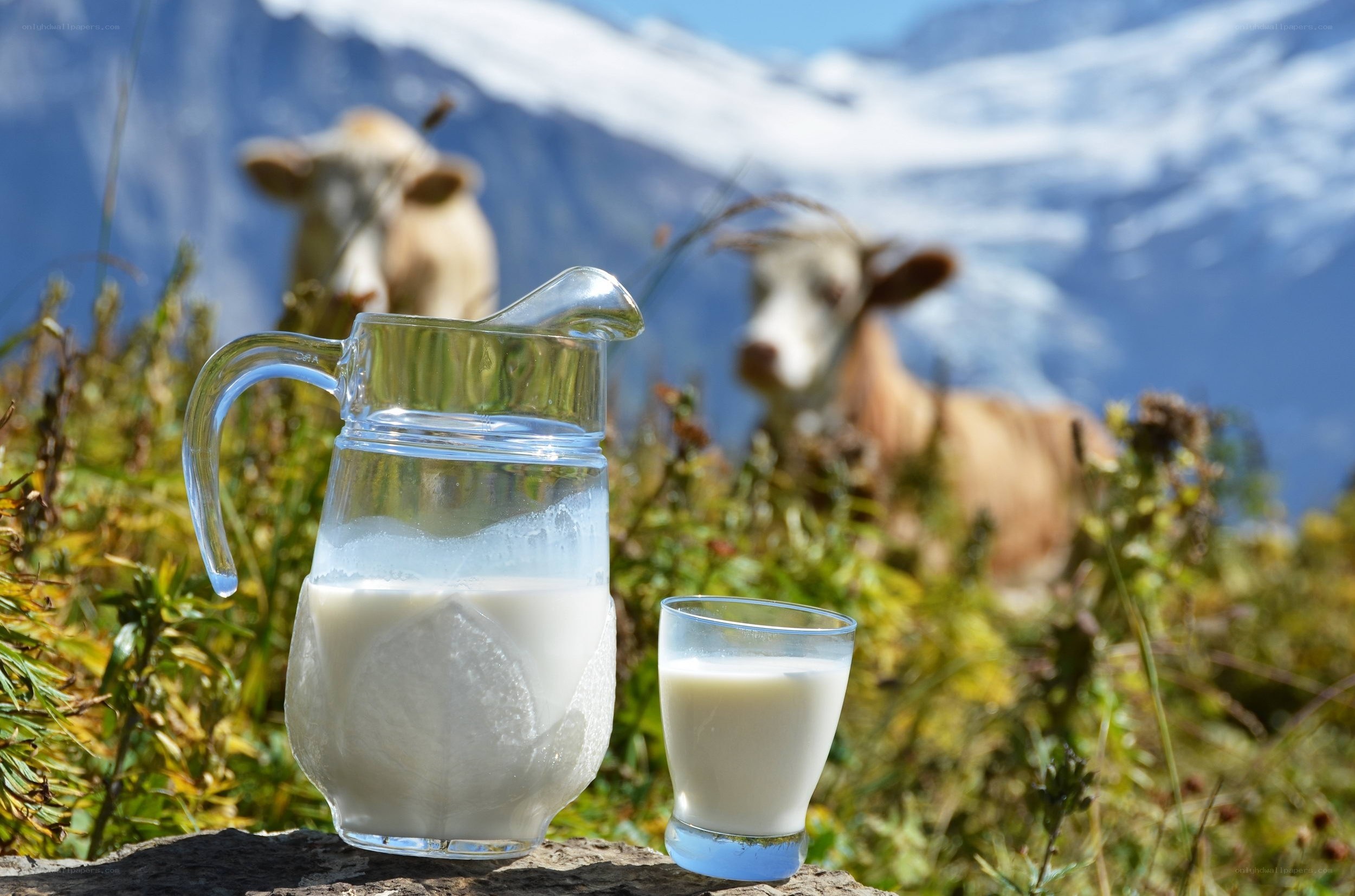 Fresh milk in mountain setting