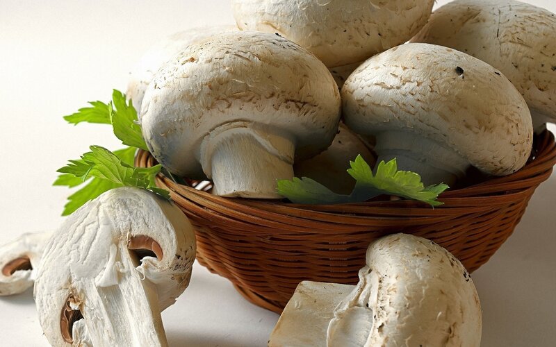 Fresh mushrooms in a basket