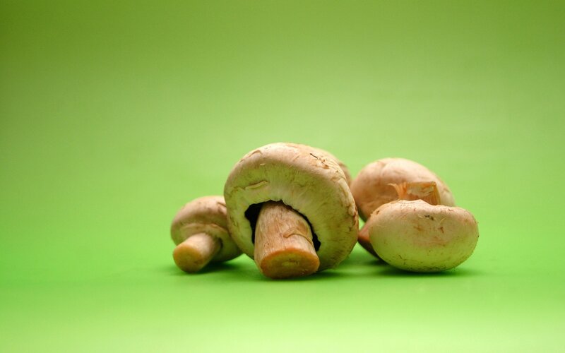 Fresh mushrooms on green