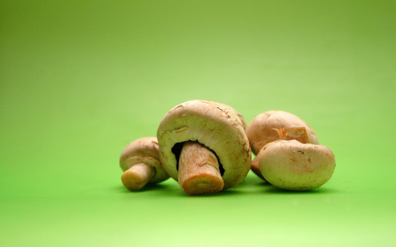 Fresh Mushrooms on Green — Neutral