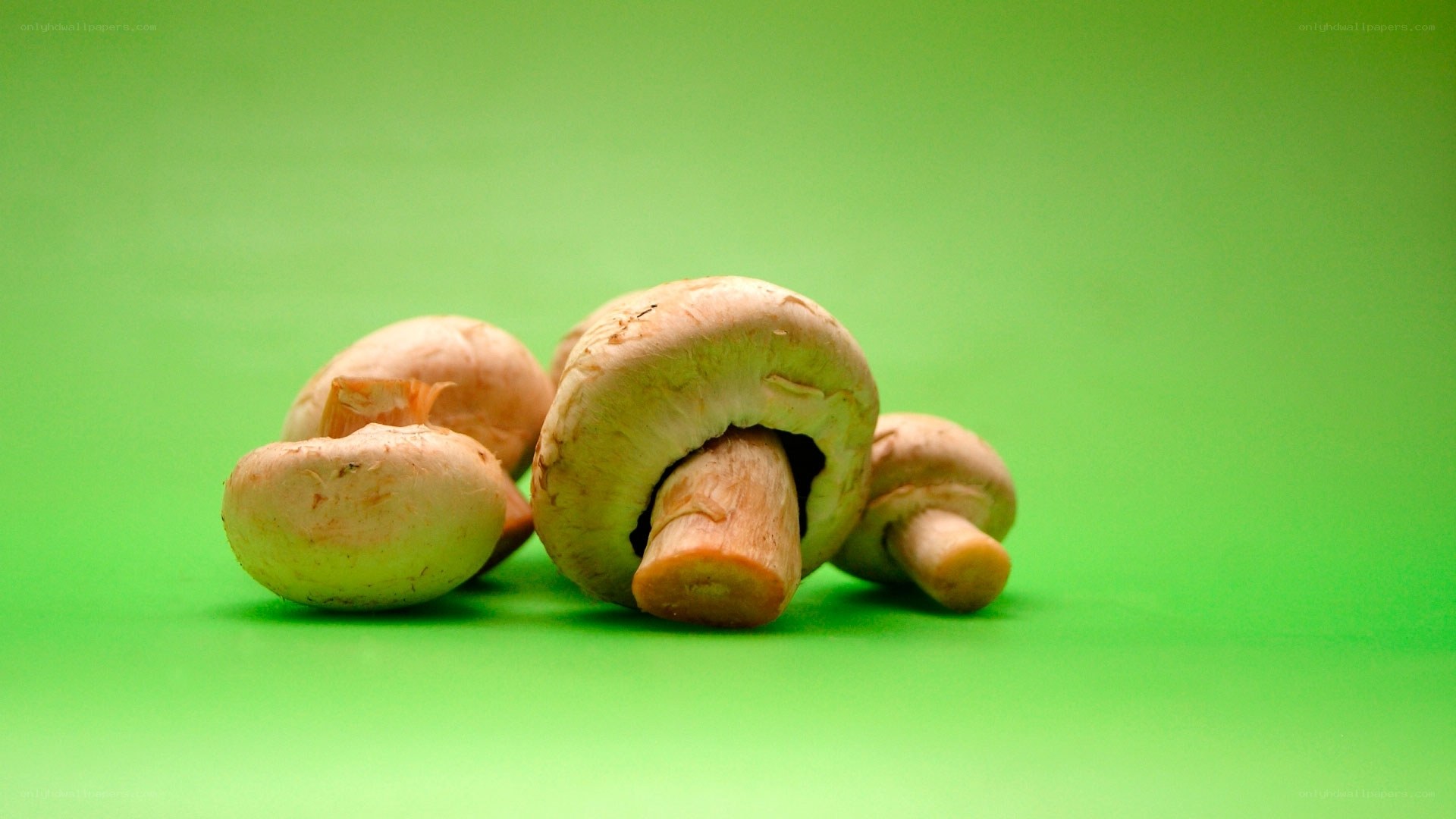 fresh mushrooms on green